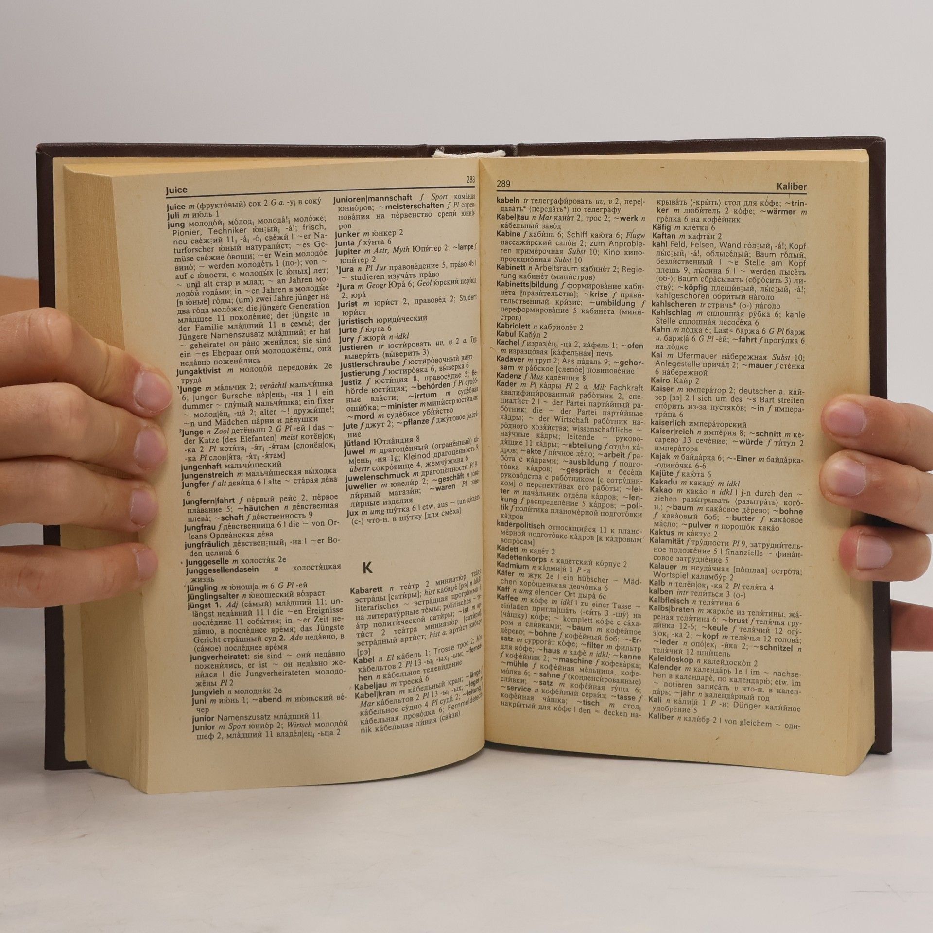 Edmund Daum Deutsch - Russich Wörterbuch