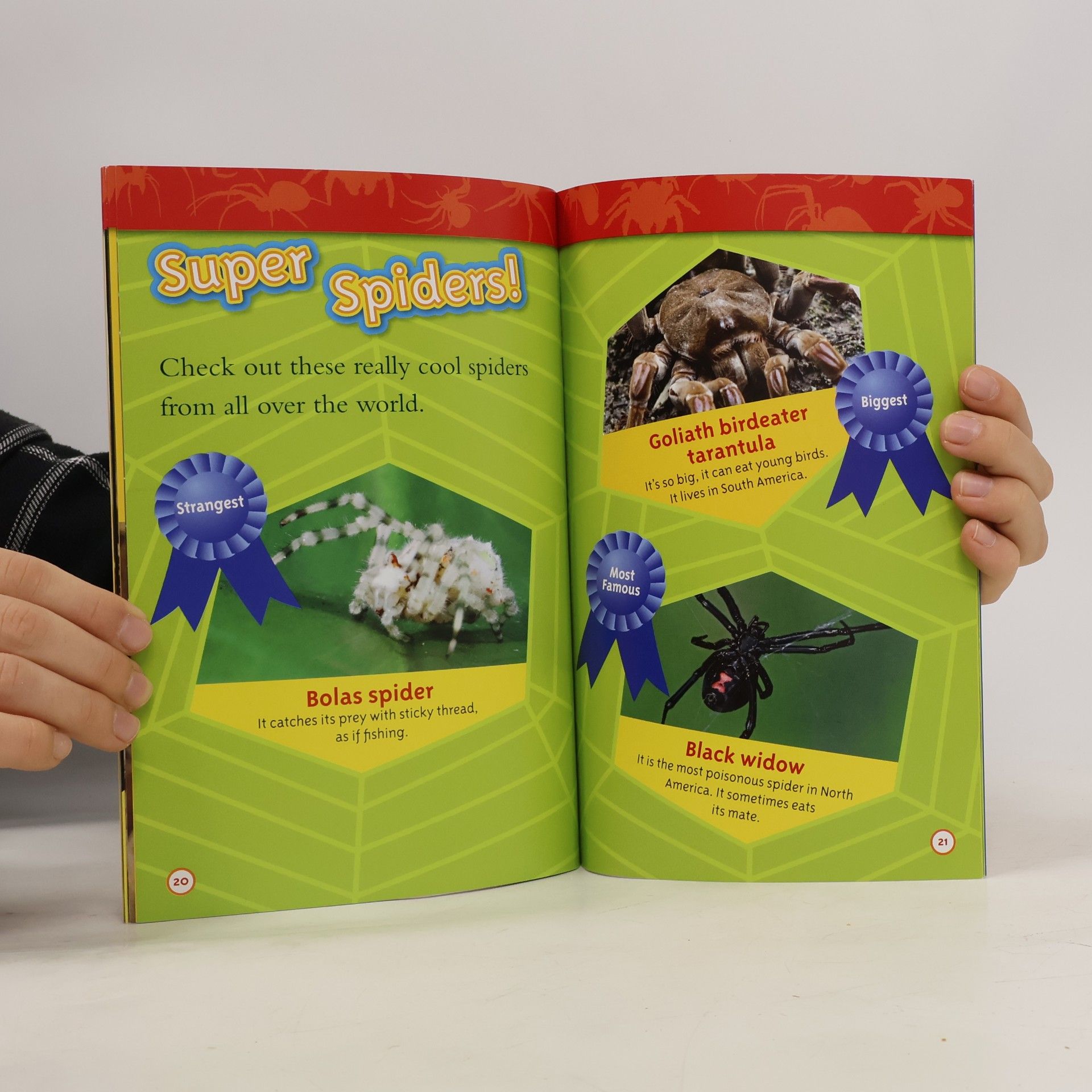 Laura Marsh National Geographic Kids Readers - 2: Spiders