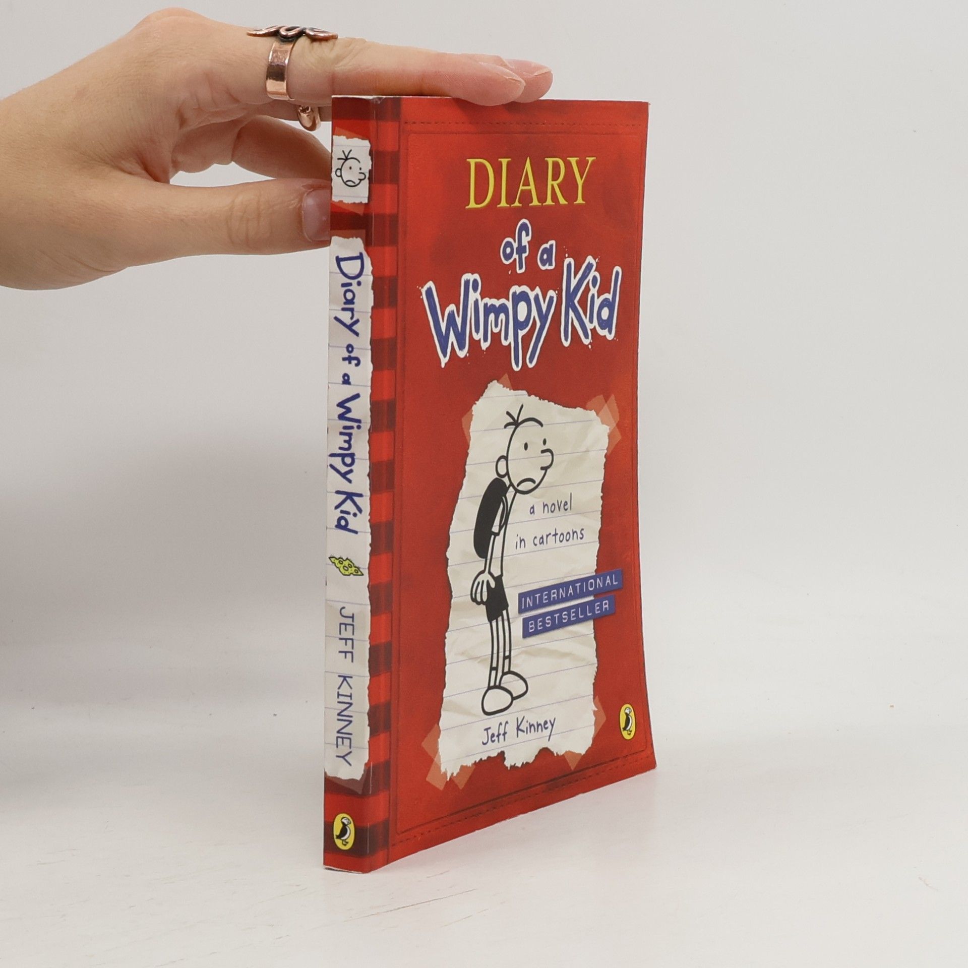 Jeff Kinney Diary of a Wimpy Kid 1