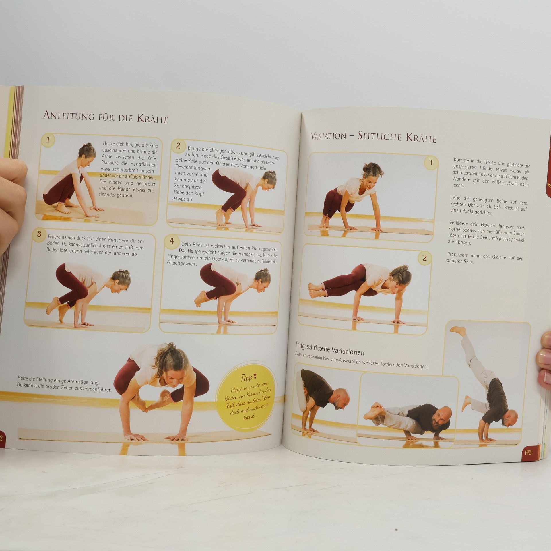 Kaivalya Meike Schönknecht Das große Yoga Vidya Hatha Yoga Buch