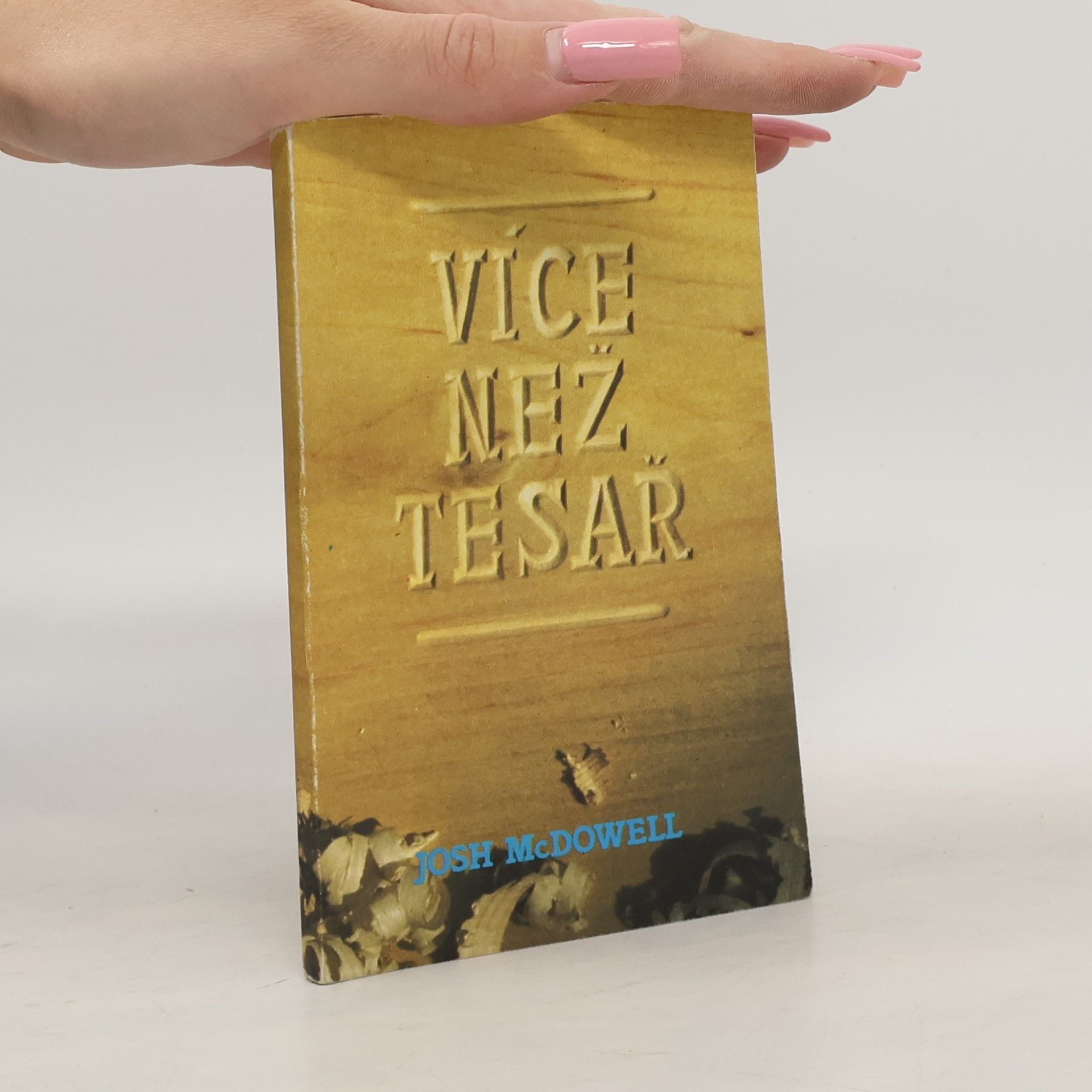 Josh McDowell Více než tesař