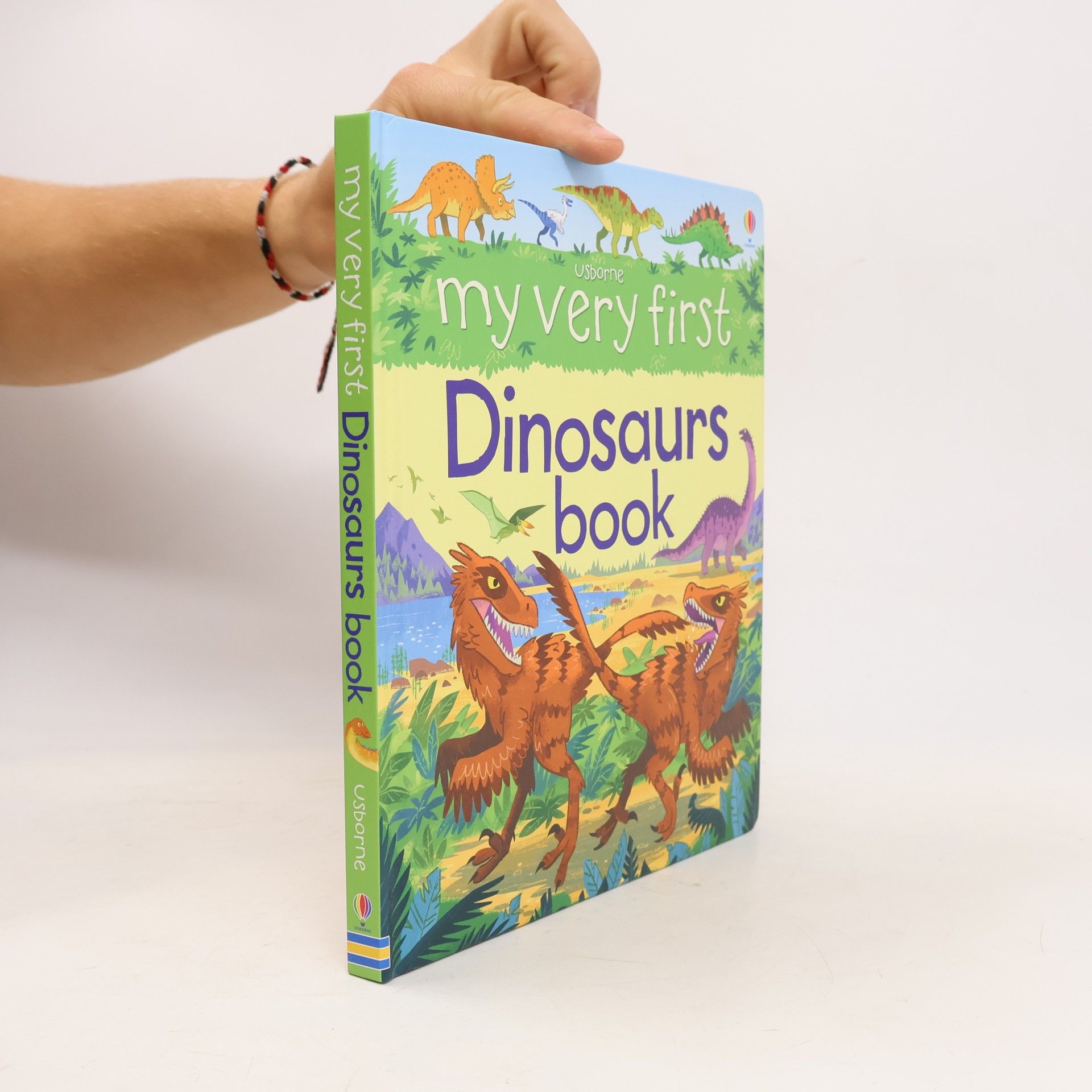 My Very First Dinosaurs Book