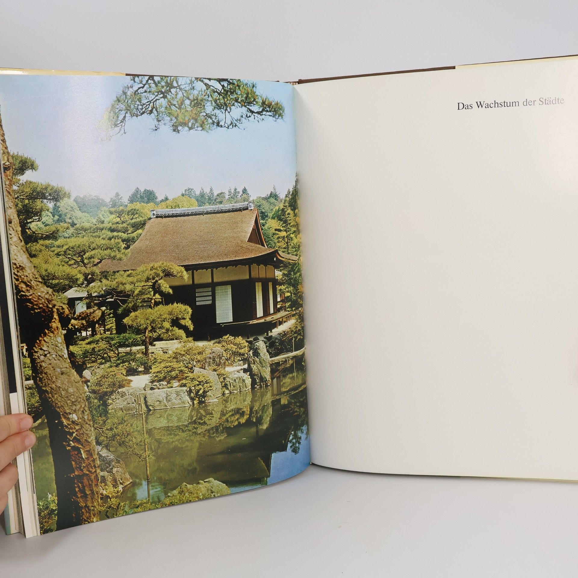 Erika Schindel Japan
