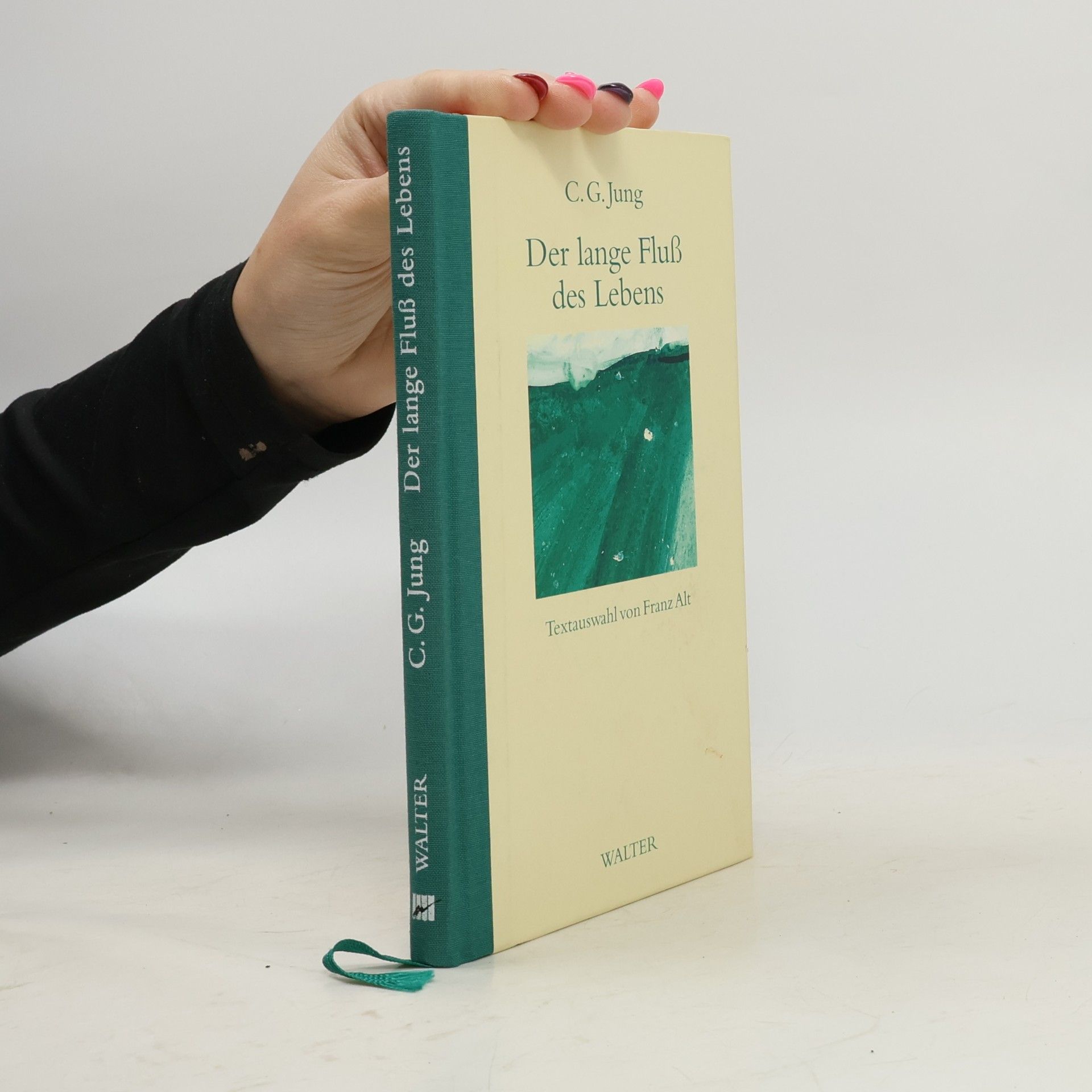 C.G. Jung Der lange Fluß des Lebens