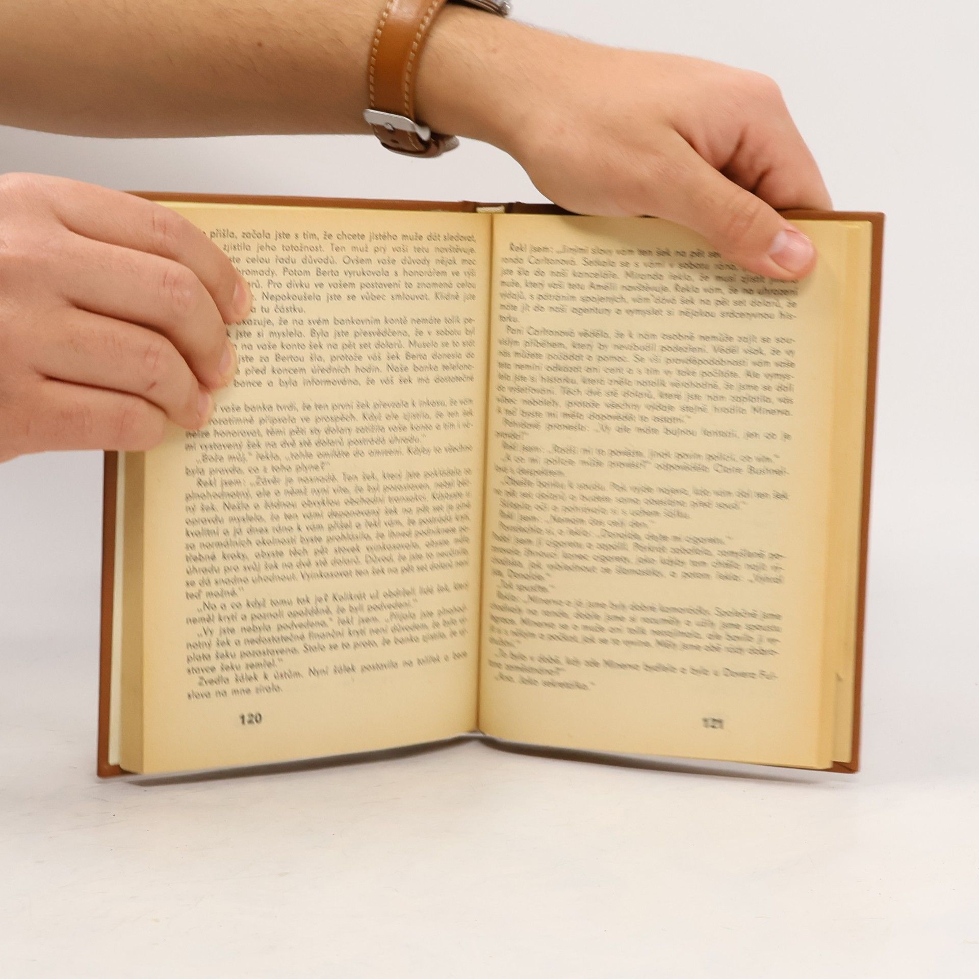 Erle Stanley Gardner Do ložnice je vidět