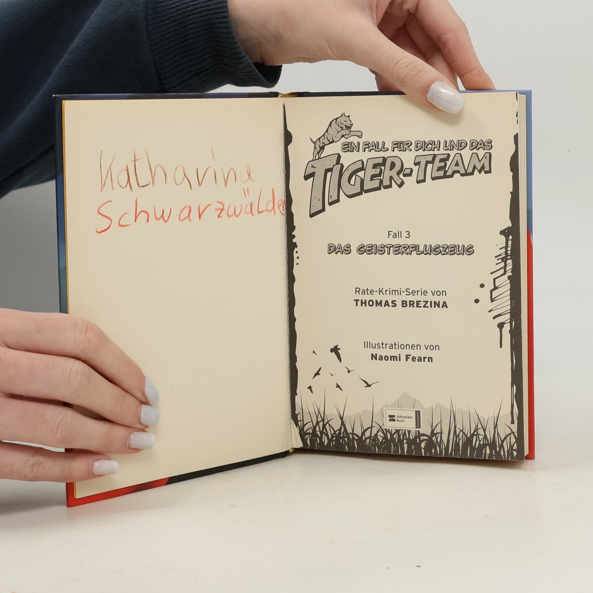 Thomas Brezina Ein Fall für dich und das Tiger-Team : Geisterflugzeug