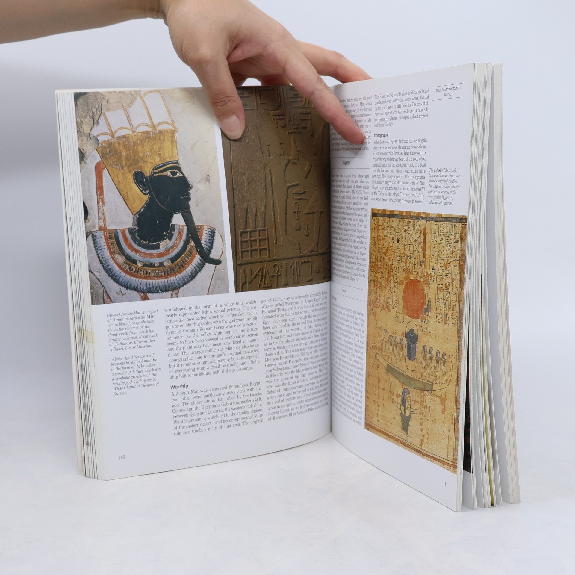 Richard H . Wilkinson Complete Gods and Goddesses of Ancient Egypt