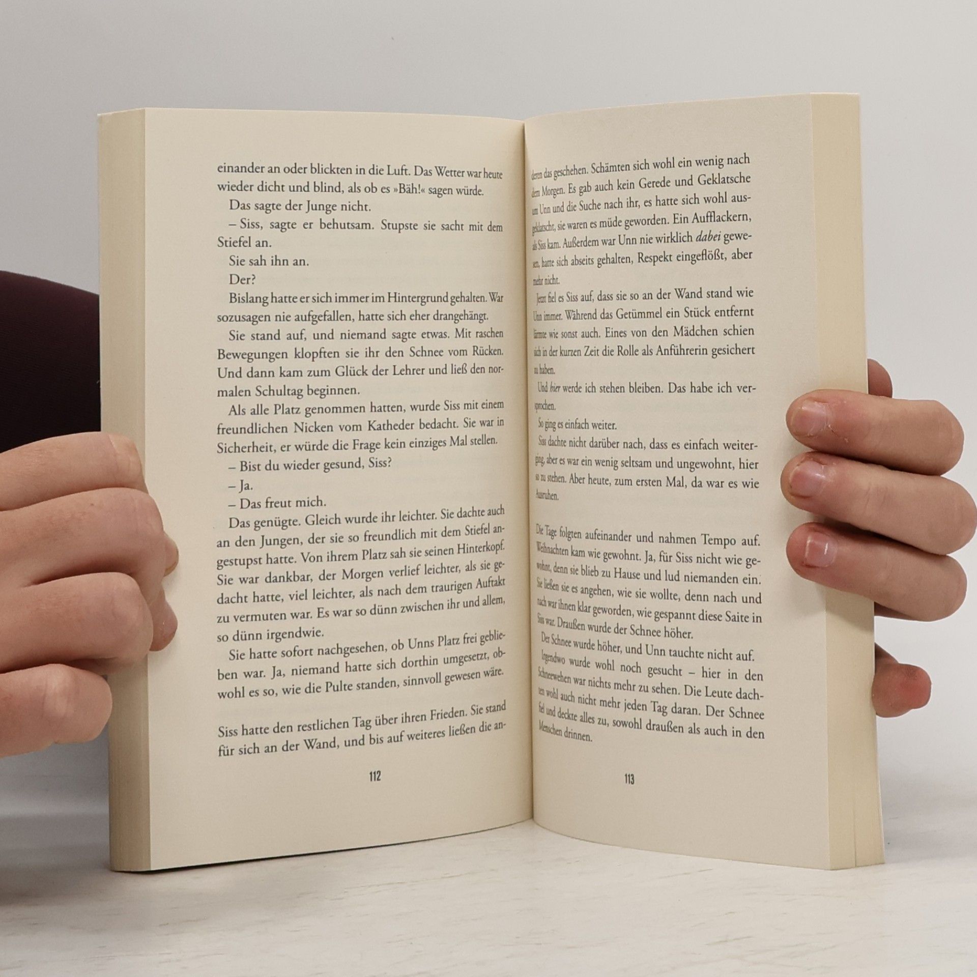 Tarjei Vesaas Das Eis-Schloss