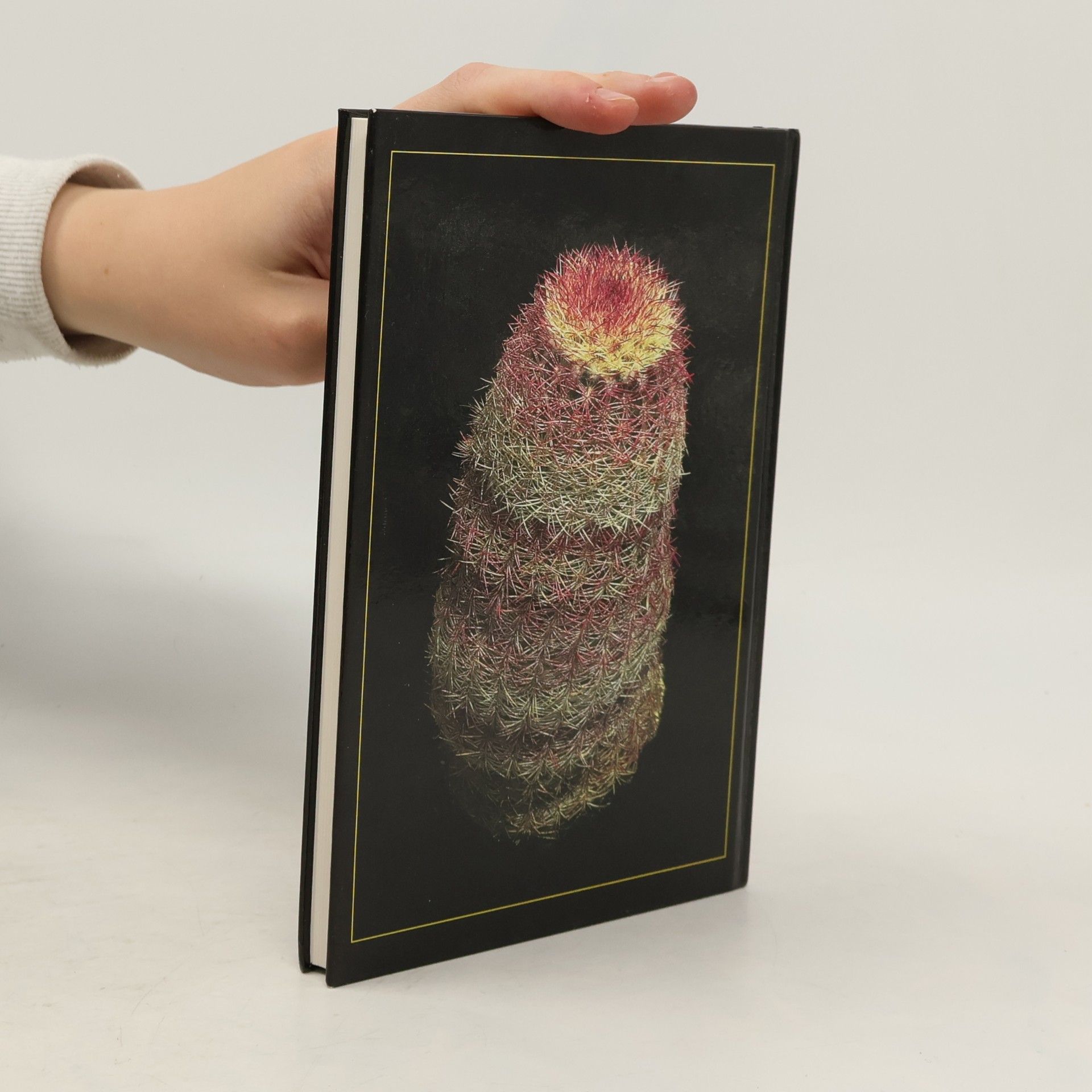 Gerhard R. W. Frank Die Echinocereus pectinatus - Echinocereus dasyacanthus - Gruppe