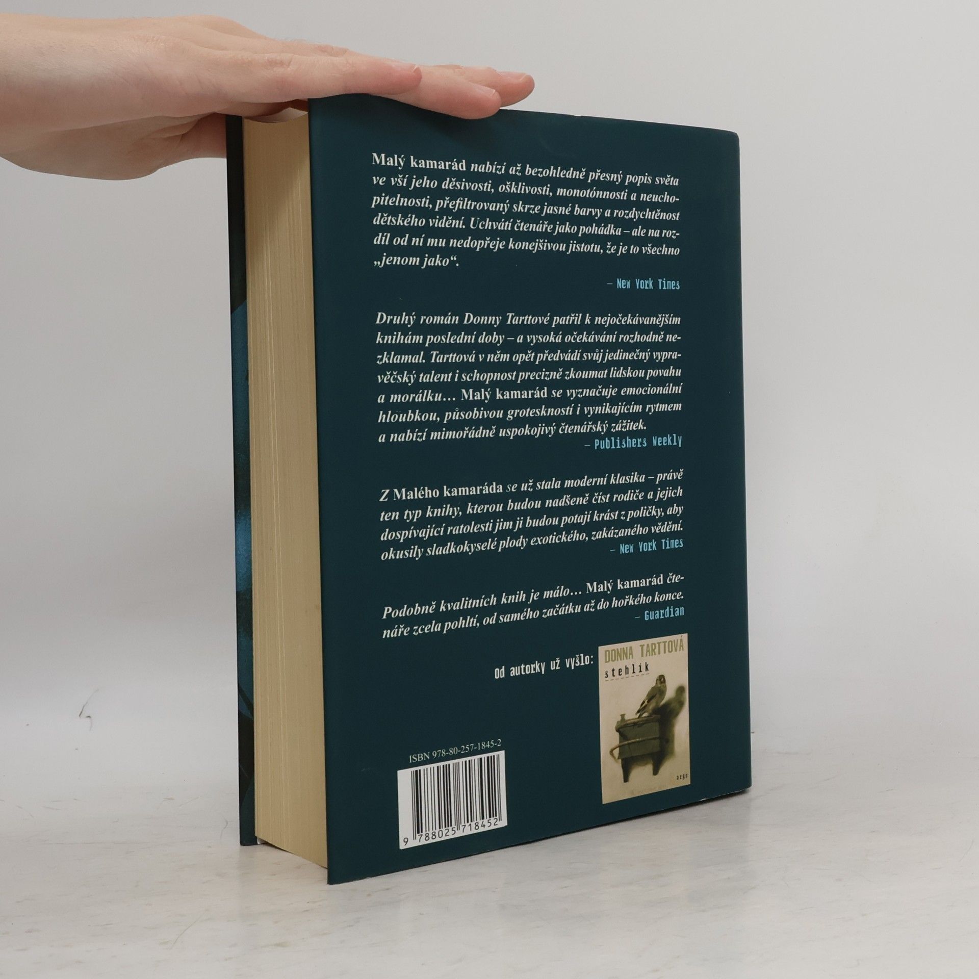 Donna Tartt Malý kamarád