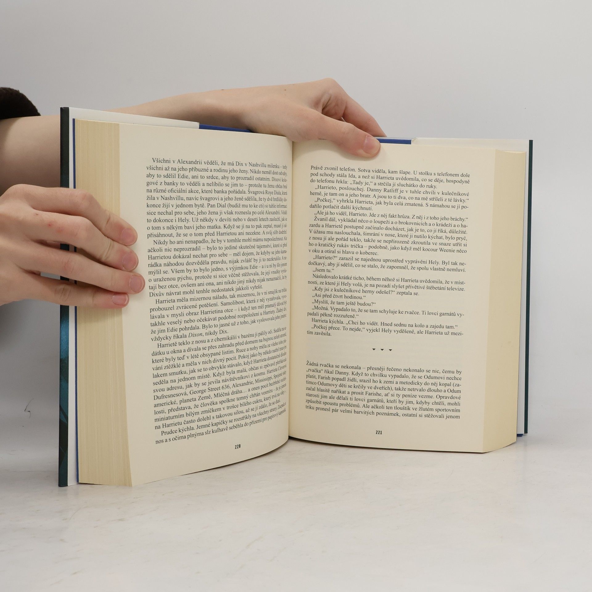 Donna Tartt Malý kamarád