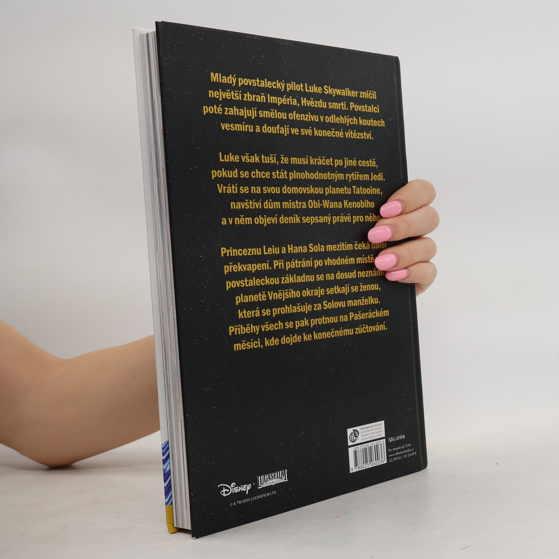 Autorenkollektiv Star Wars. Skywalker útočí - Zúčtování na pašeráckém měsíci