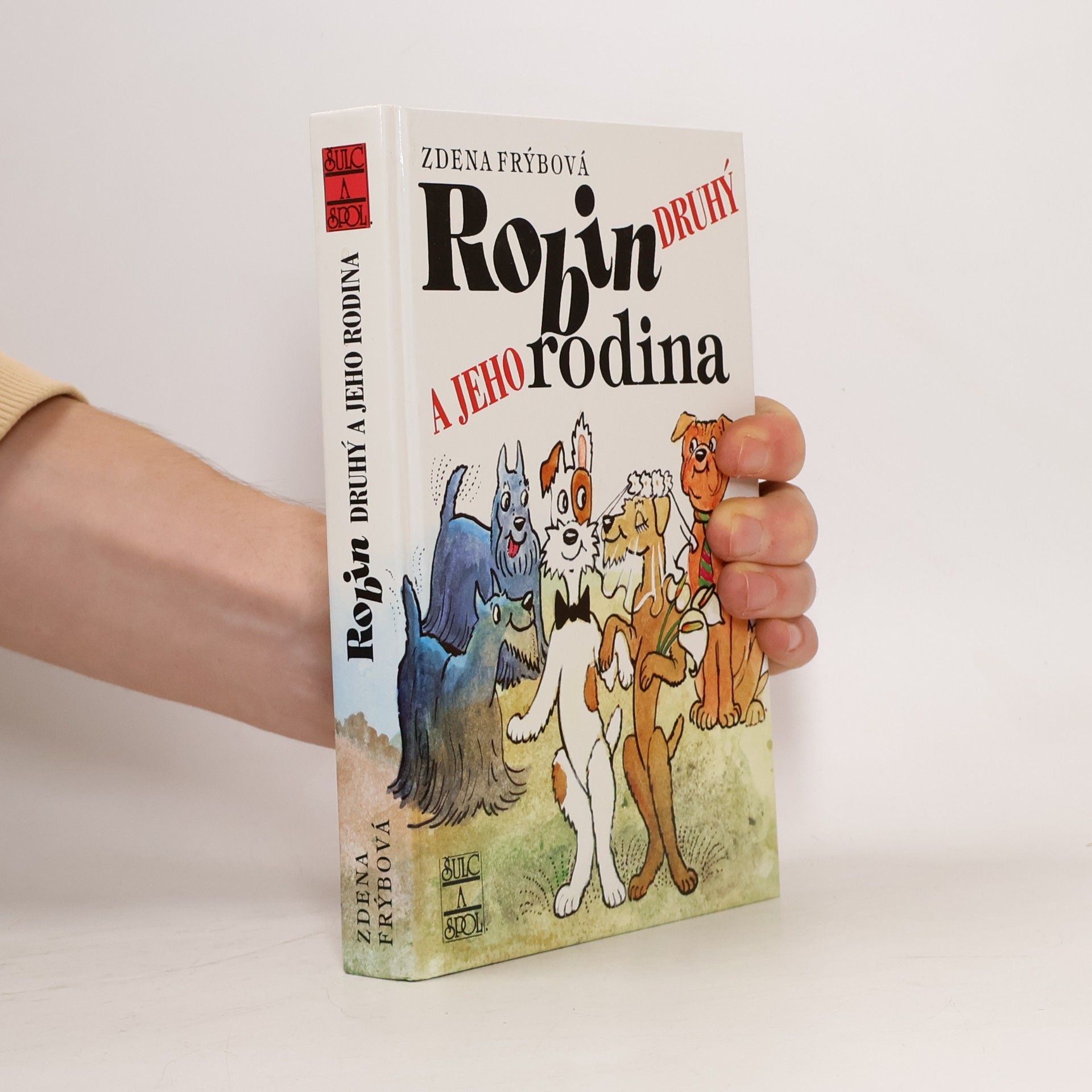 Robin Druhý a jeho rodina