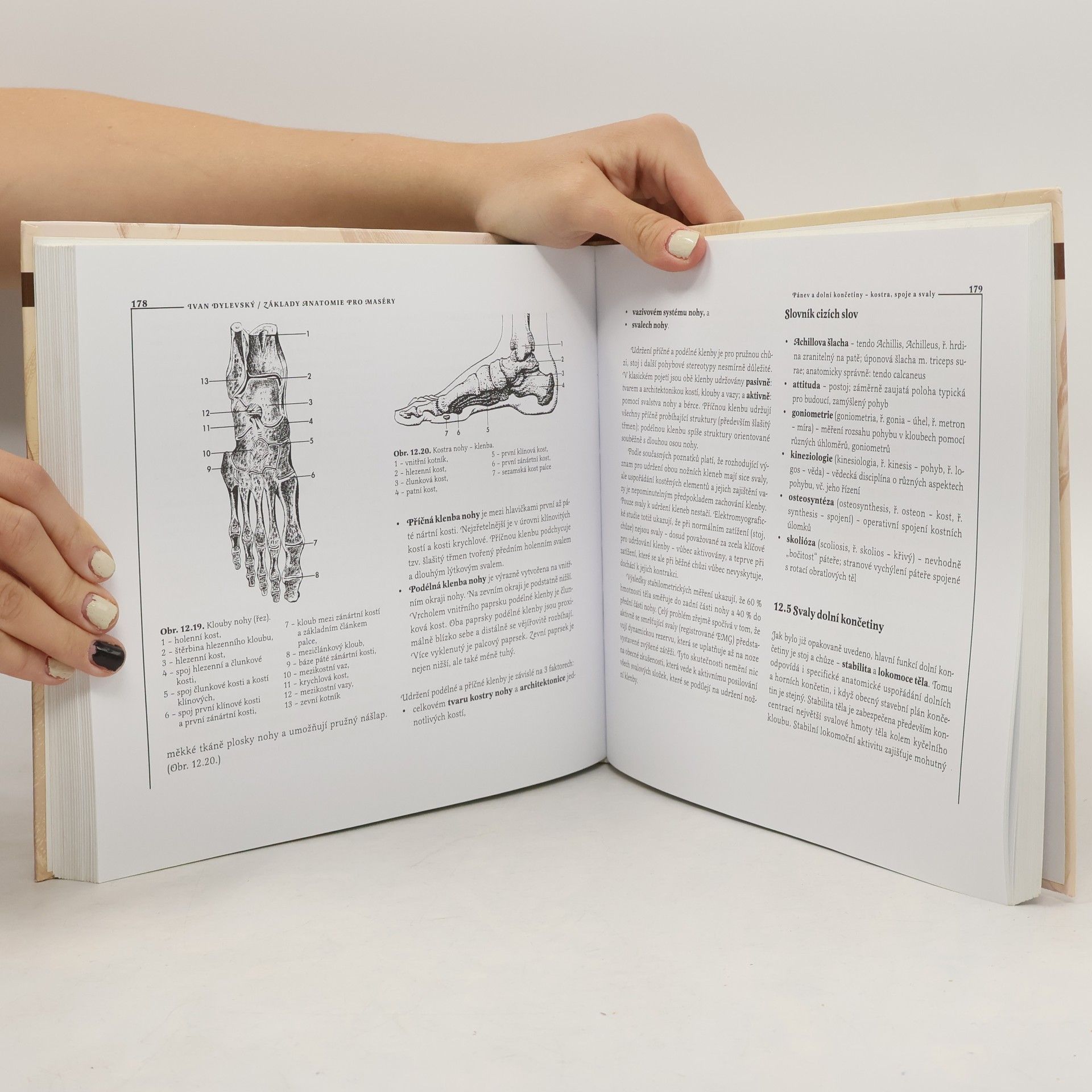 Ivan Dylevský Základy anatomie pro maséry