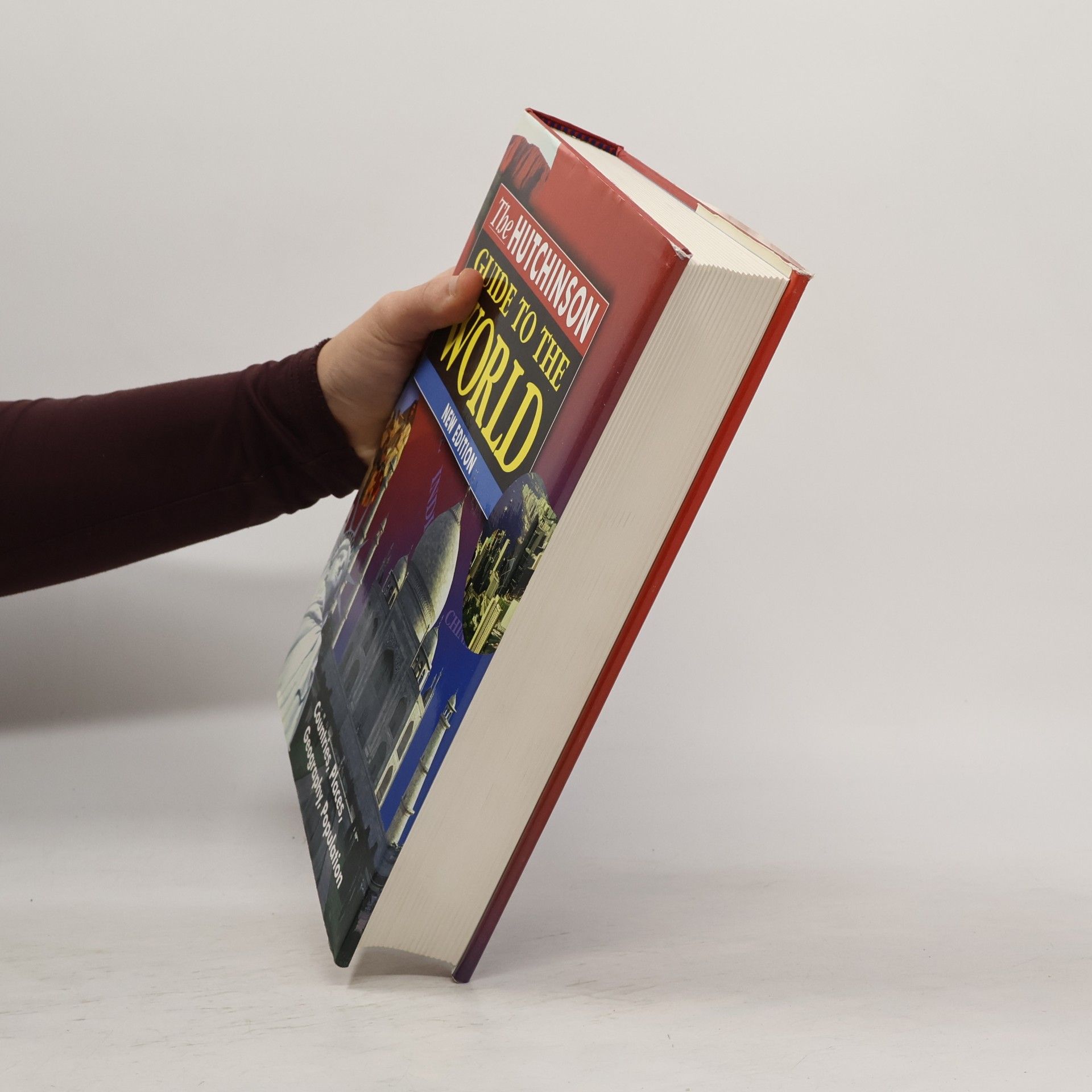 Denise Dresner The Hutchinson guide to the world