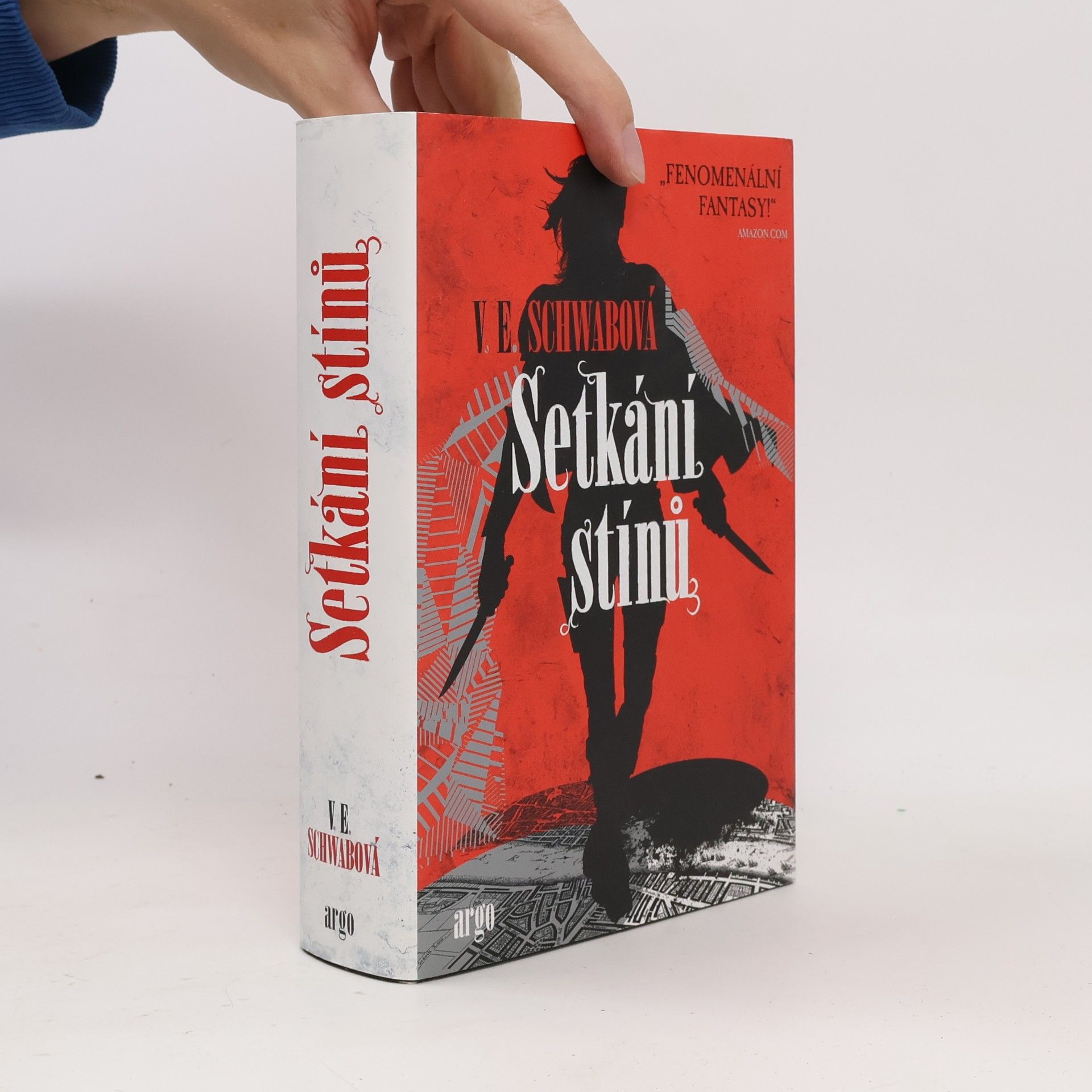 Setkání stínů