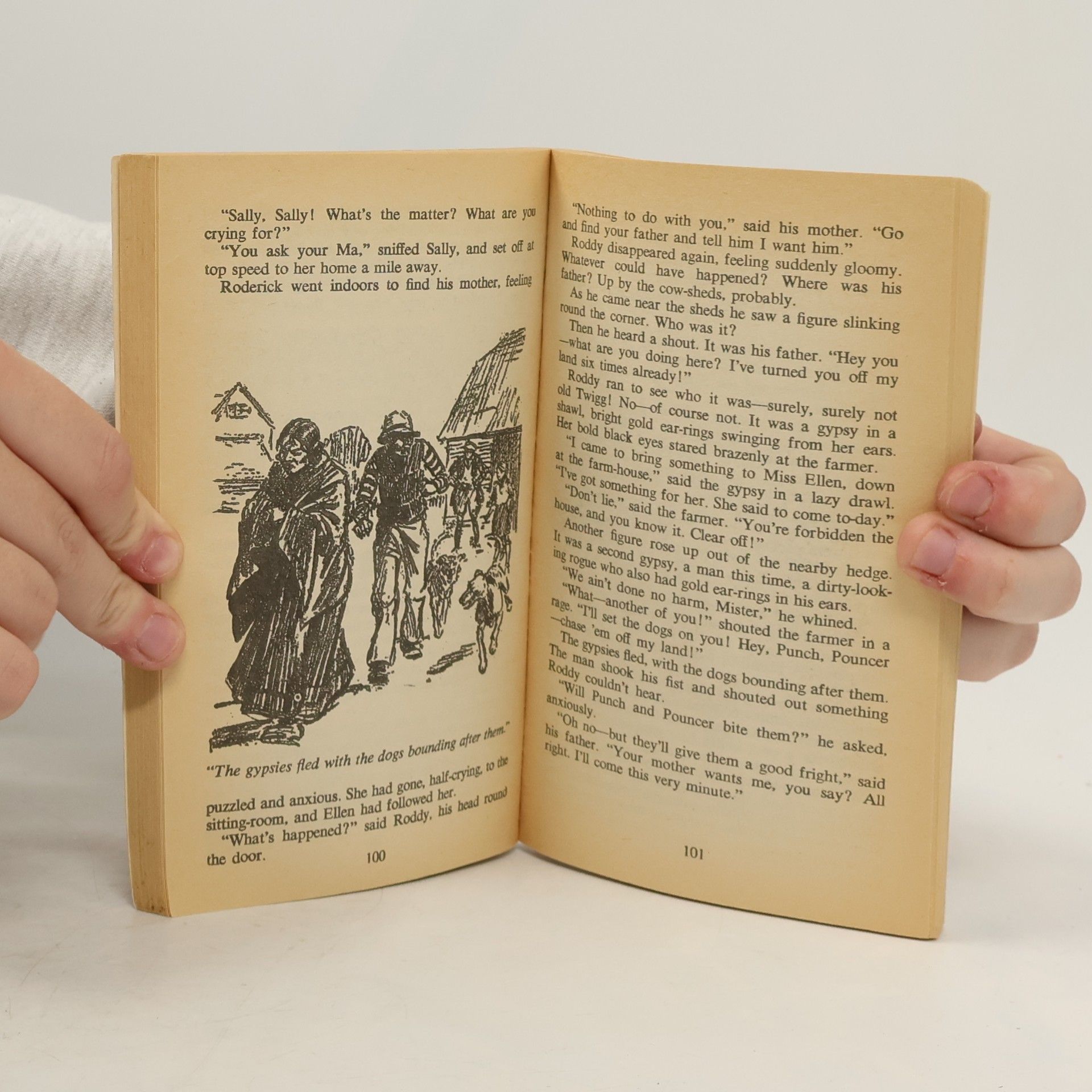 Enid Blyton Six Cousins Again