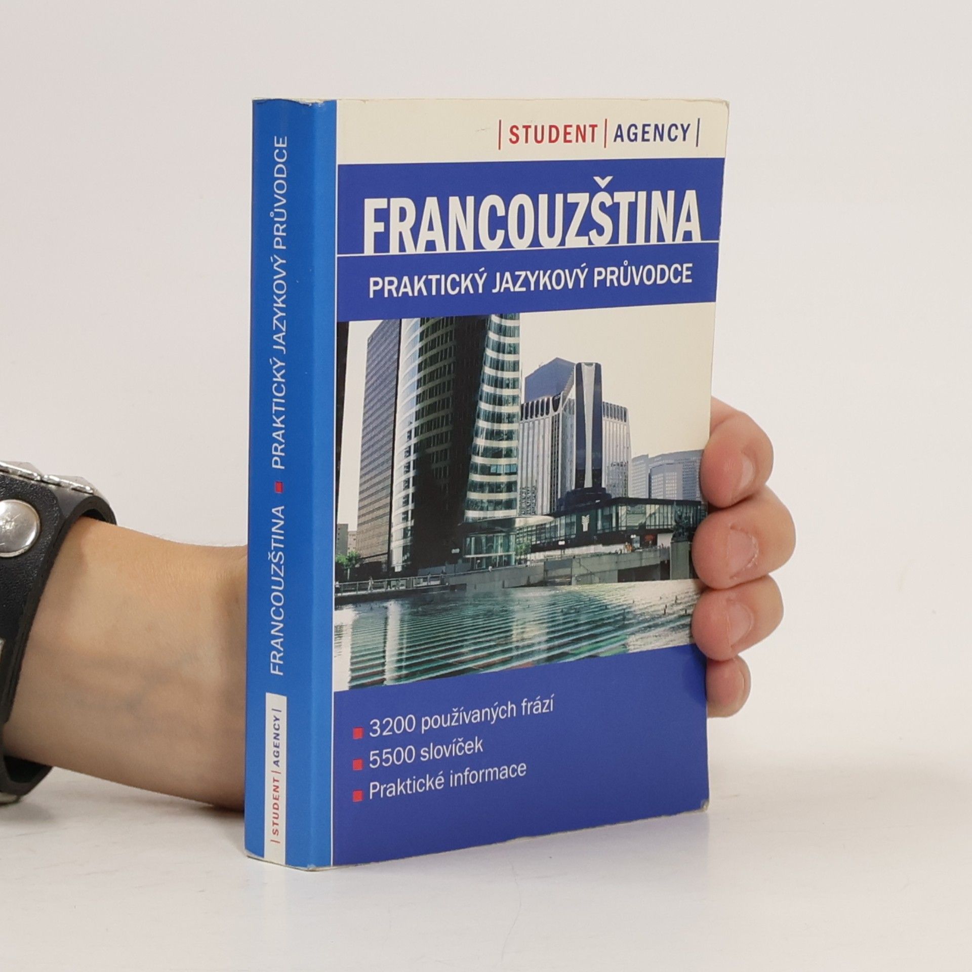 Autorenkollektiv Francouzština. Praktický jazykový průvodce