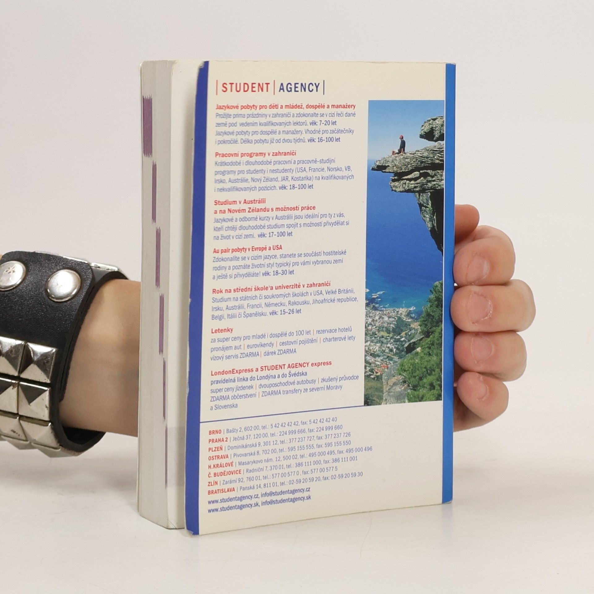 Autorenkollektiv Francouzština. Praktický jazykový průvodce