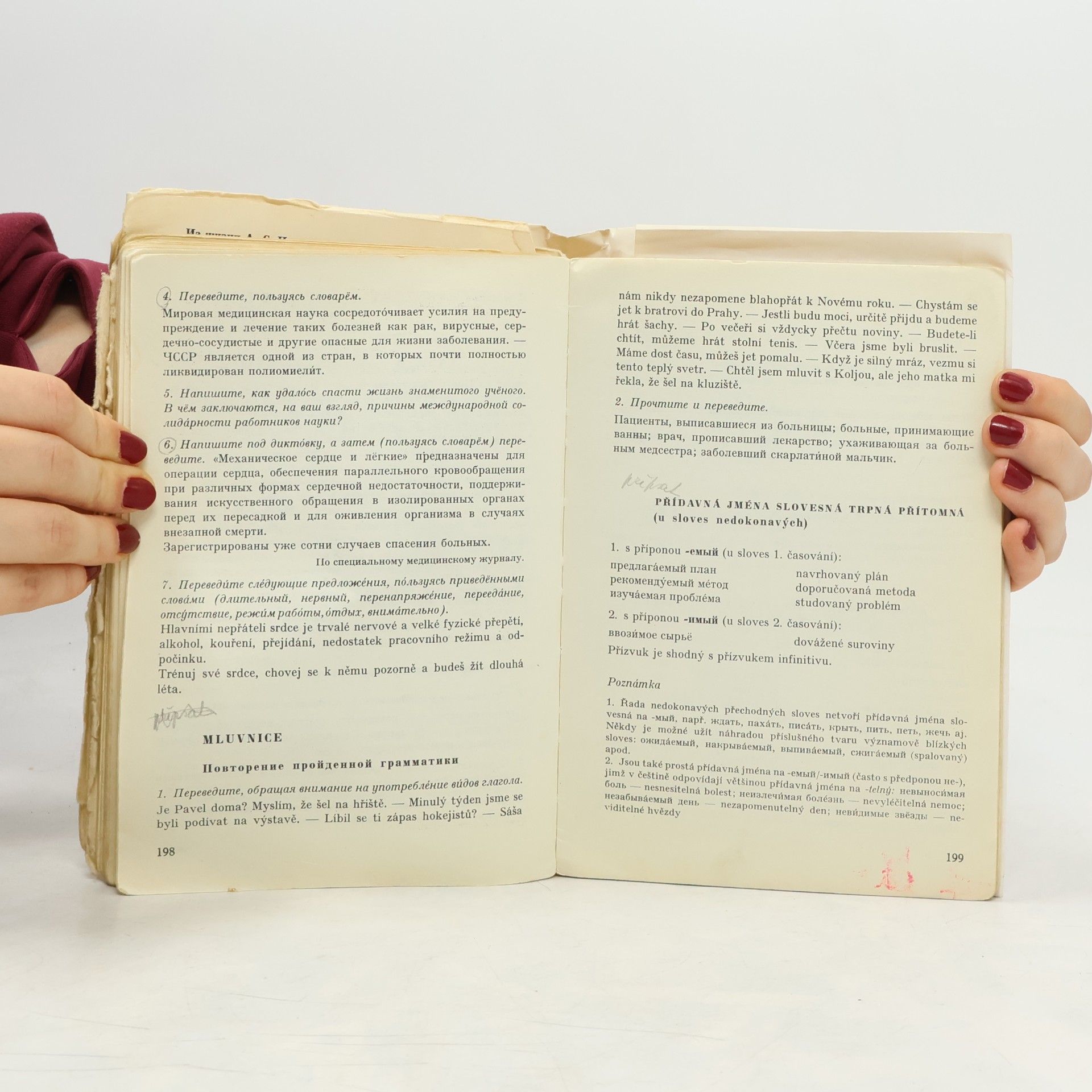 Autorenkollektiv Русский язык. Ruský jazyk