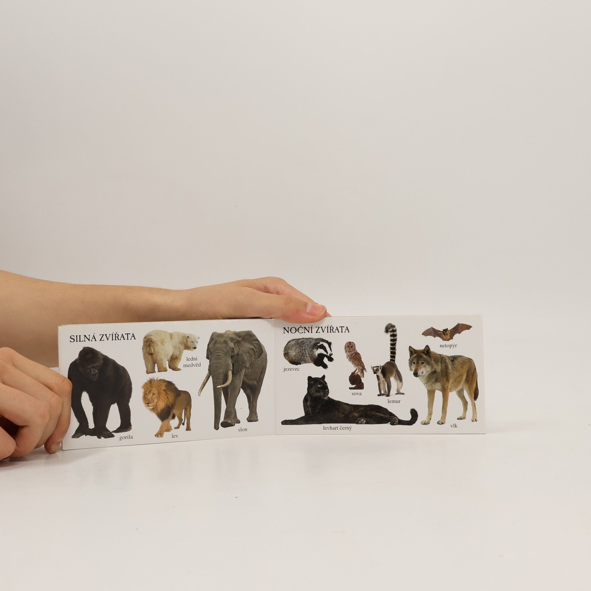 Autorenkollektiv ZOO ZOO - skládanka