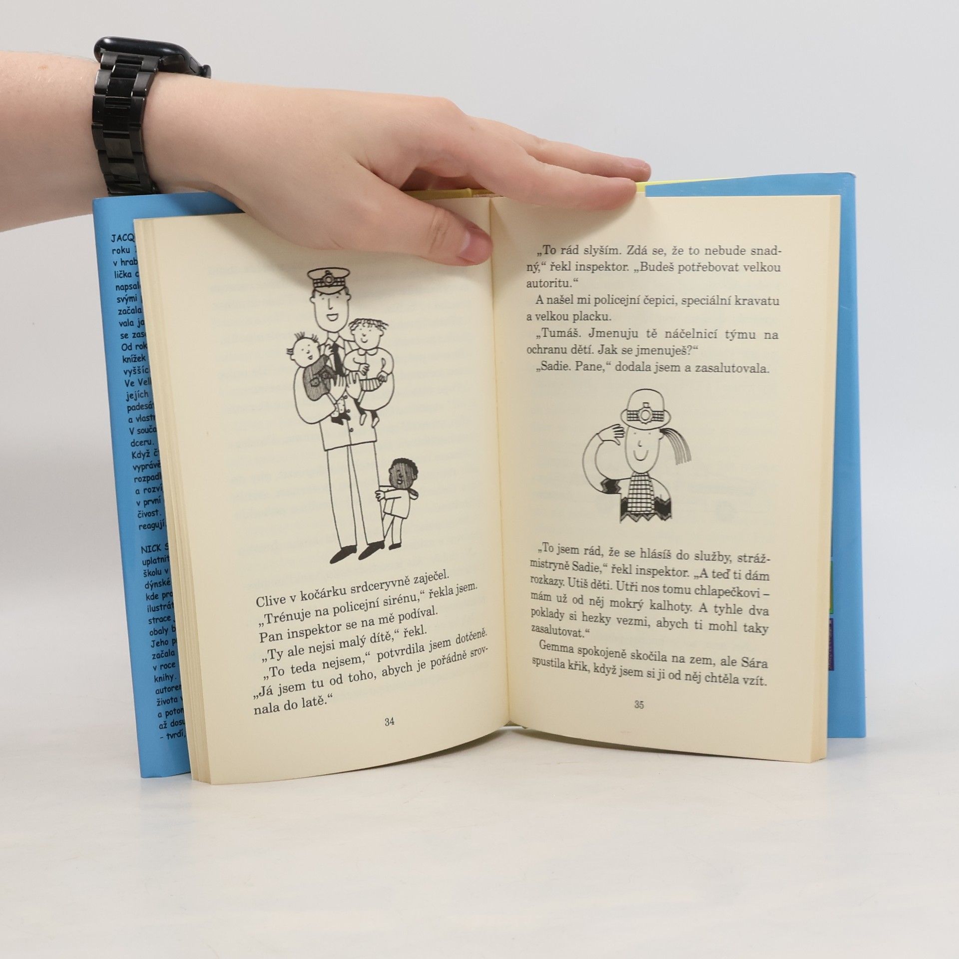 Jacqueline Wilson Holka na hlídání