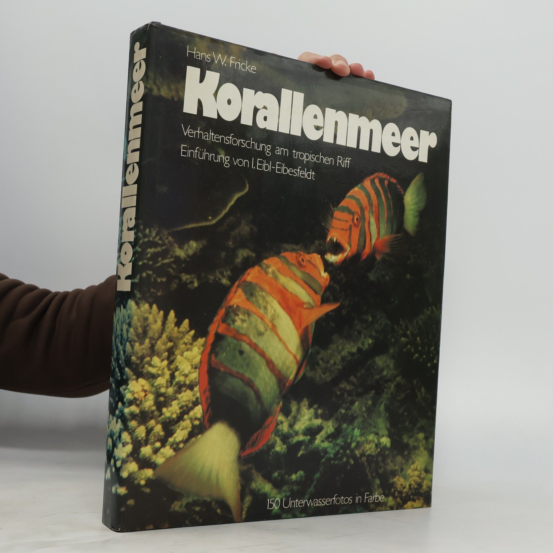 Korallenmeer
