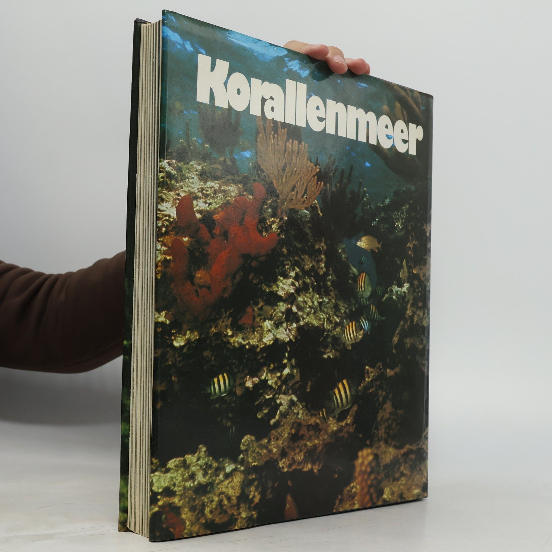 Hans W. Fricke Korallenmeer