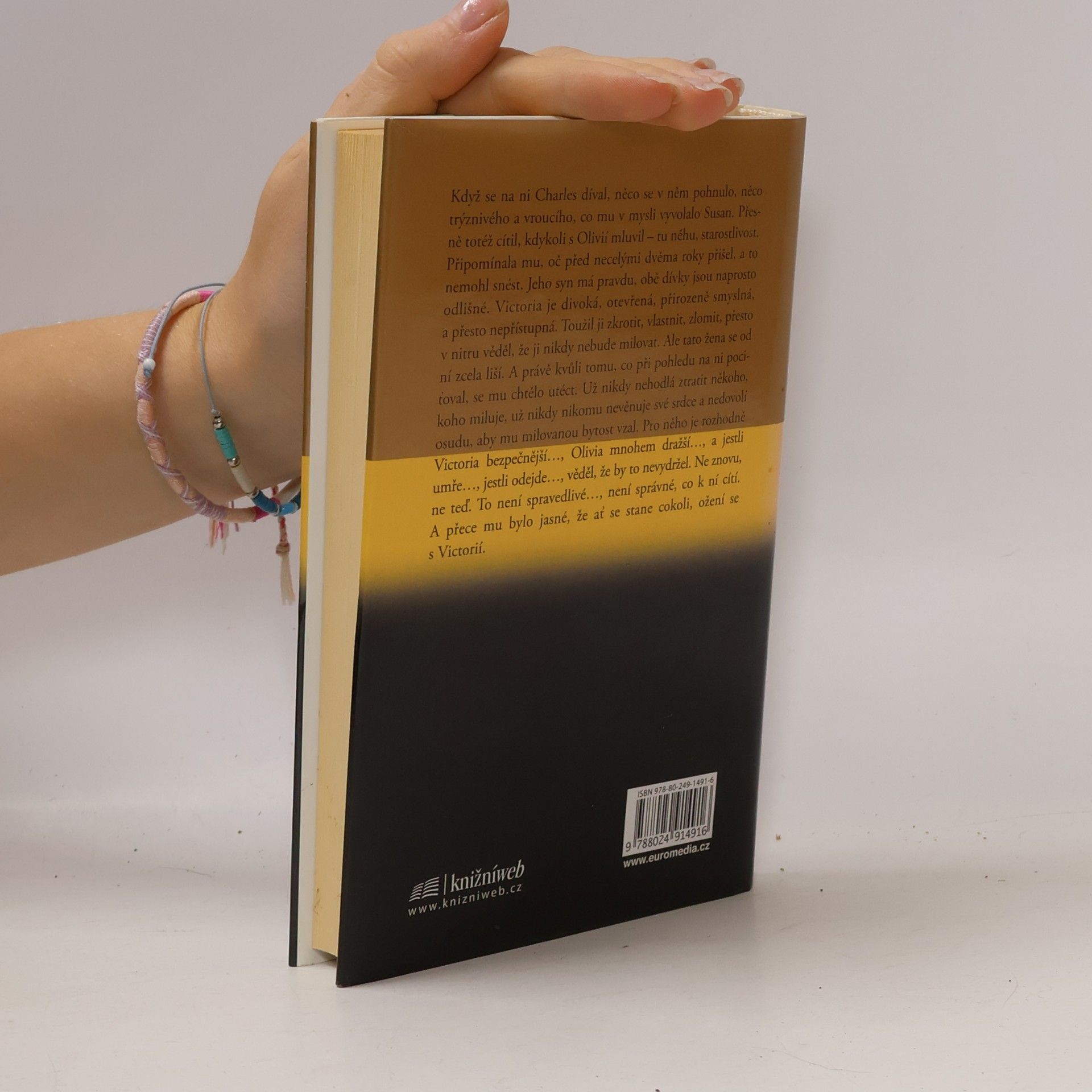 Danielle Steel Zrcadlový obraz
