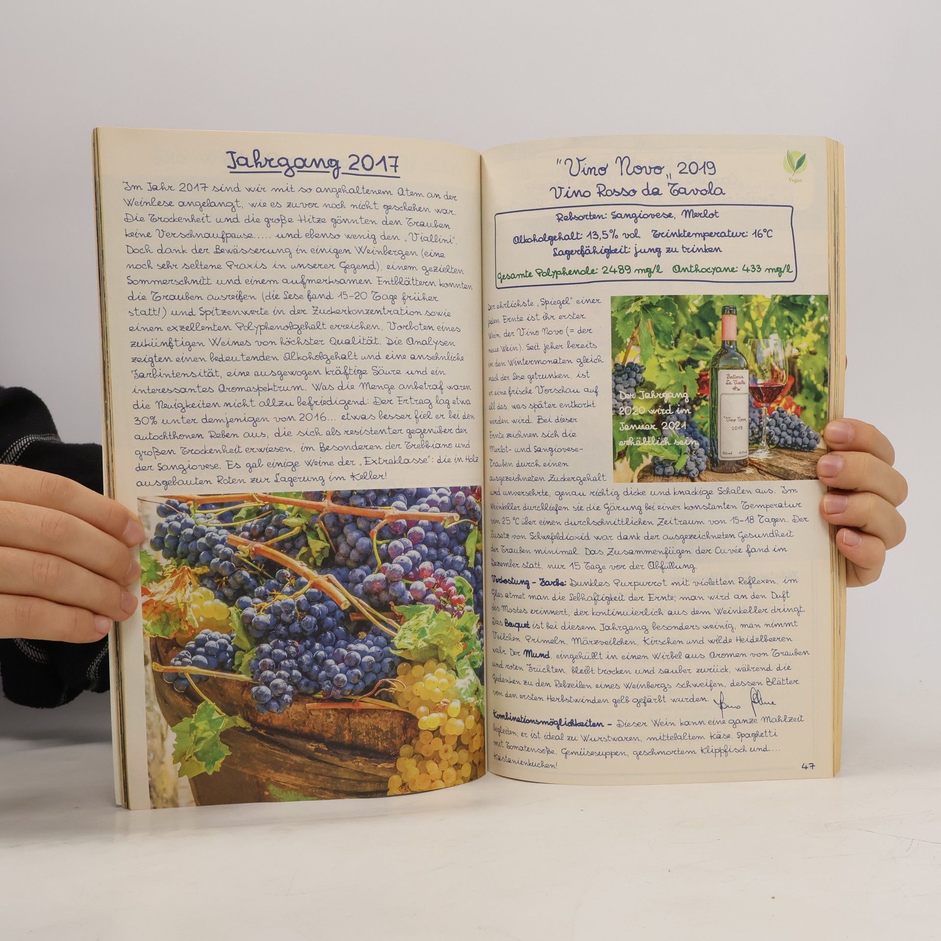So Viall „Handbuch“