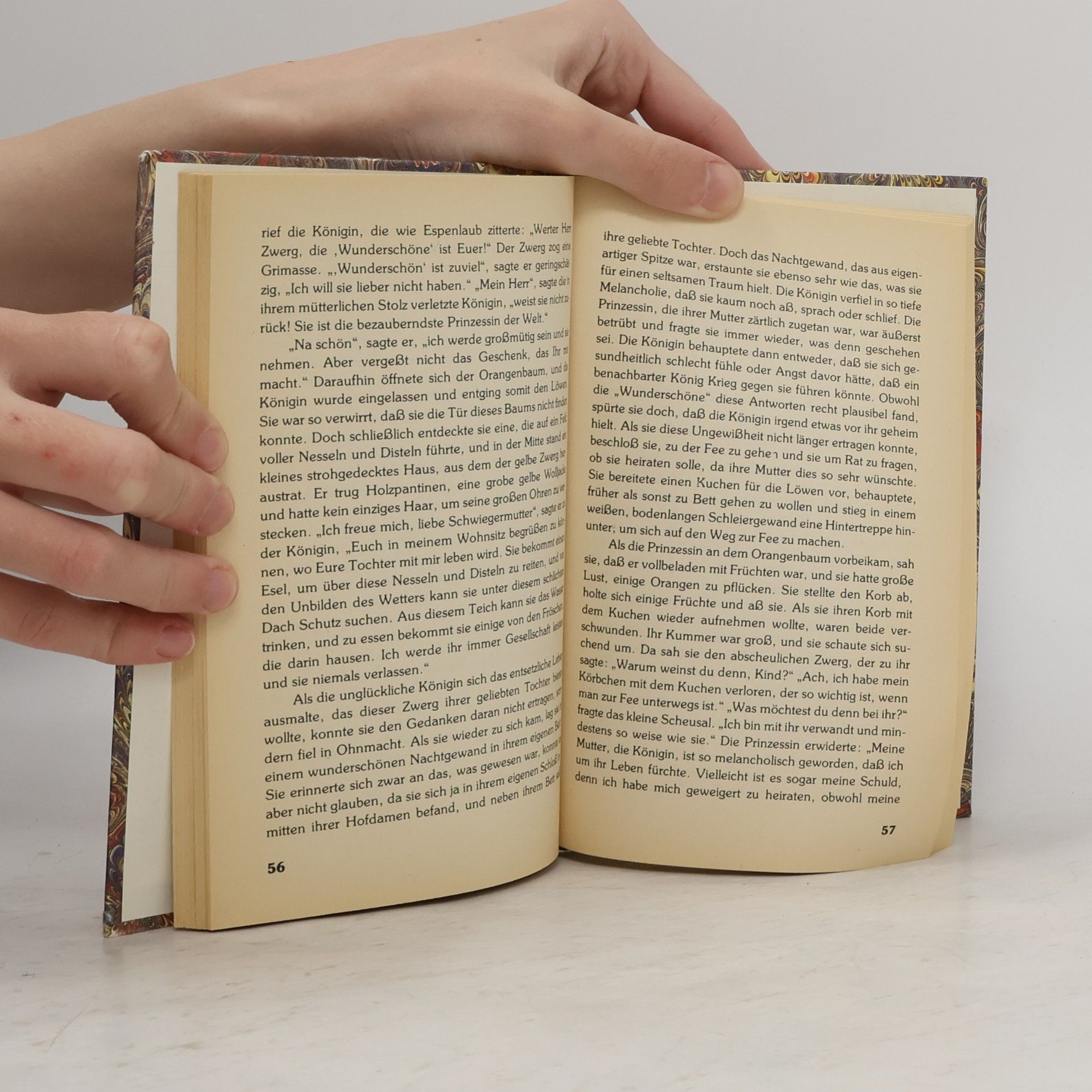 Kolektiv autorů Die schönsten Märchen von Elfen, Feen und Prinzessinnen