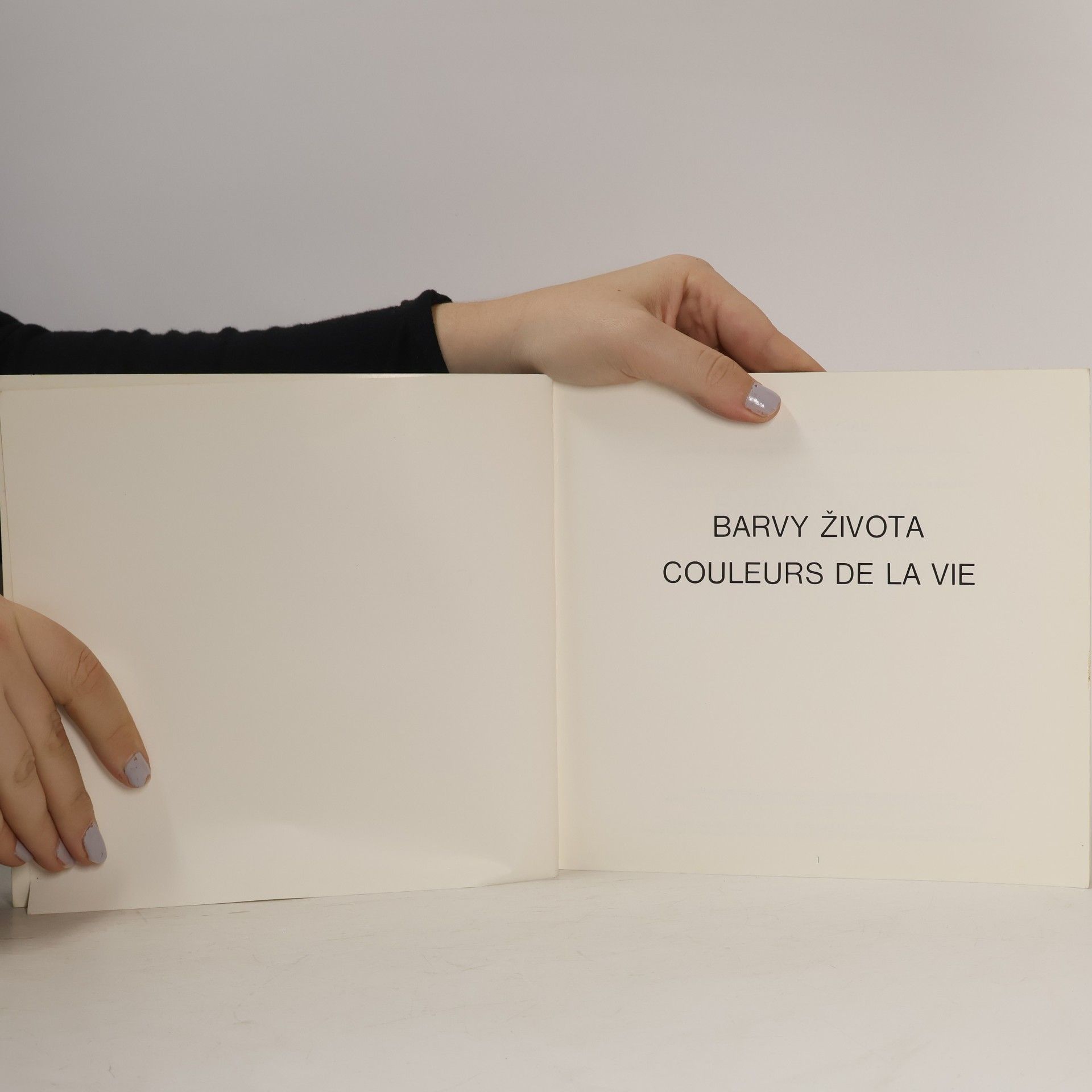 Václav Havel Barvy života. Couleurs de la vie.