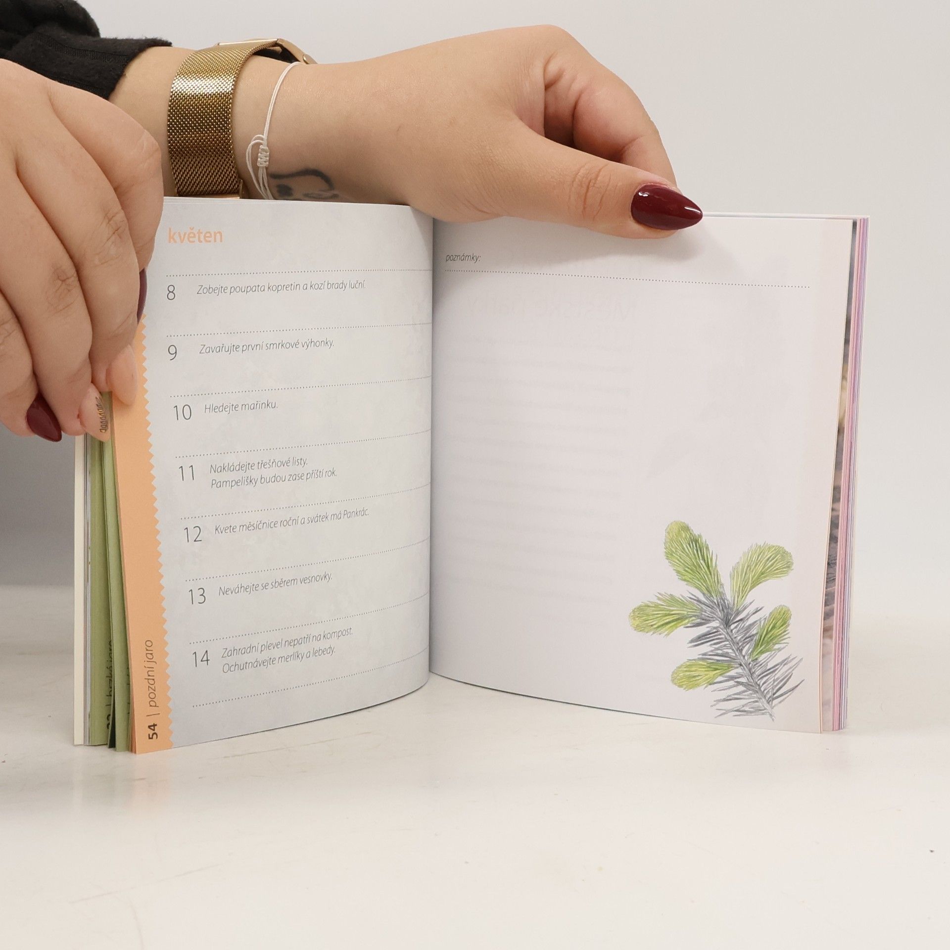 Jana Vlková Notes Květinové kuchařky