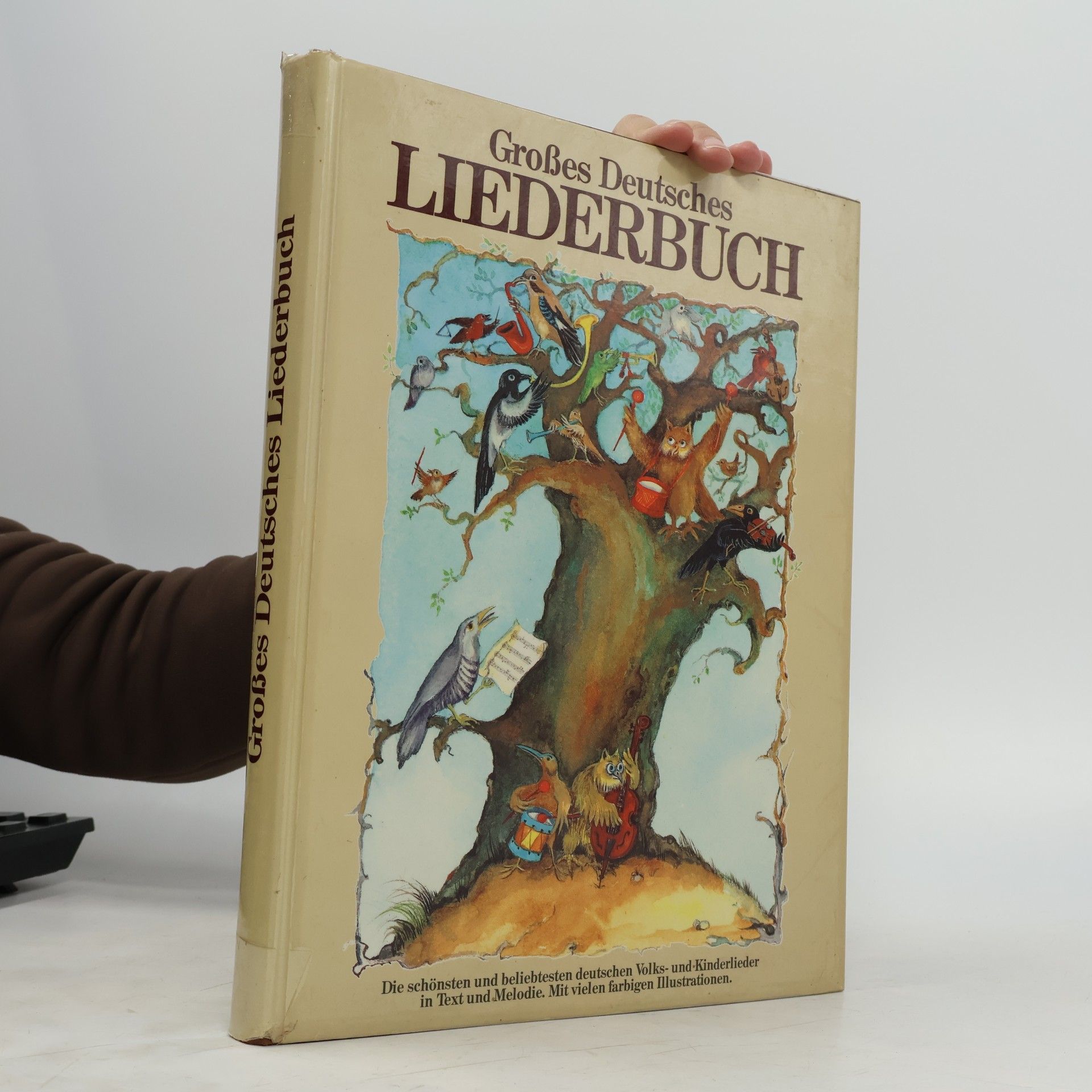 Großes Deutsches Liederbuch