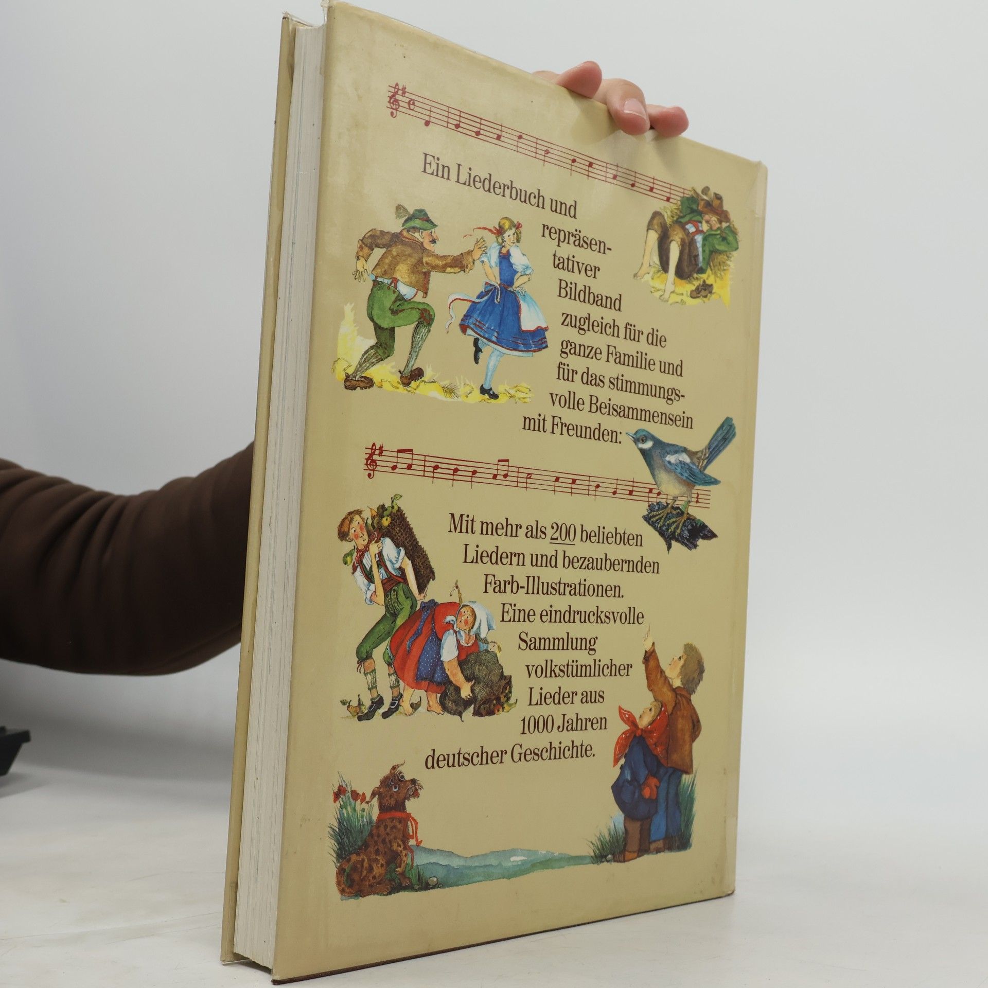 Mouche Vormstein Großes Deutsches Liederbuch