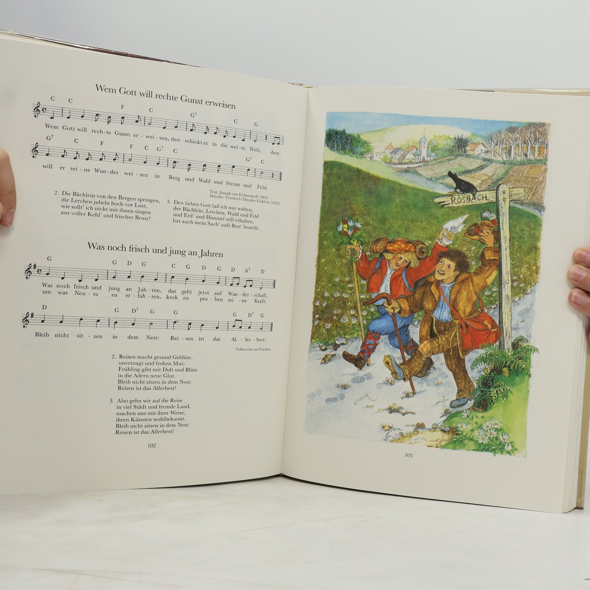 Mouche Vormstein Großes Deutsches Liederbuch