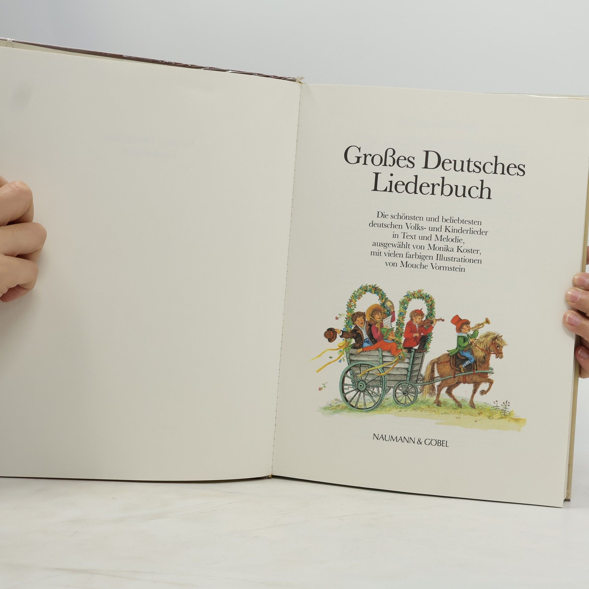 Mouche Vormstein Großes Deutsches Liederbuch