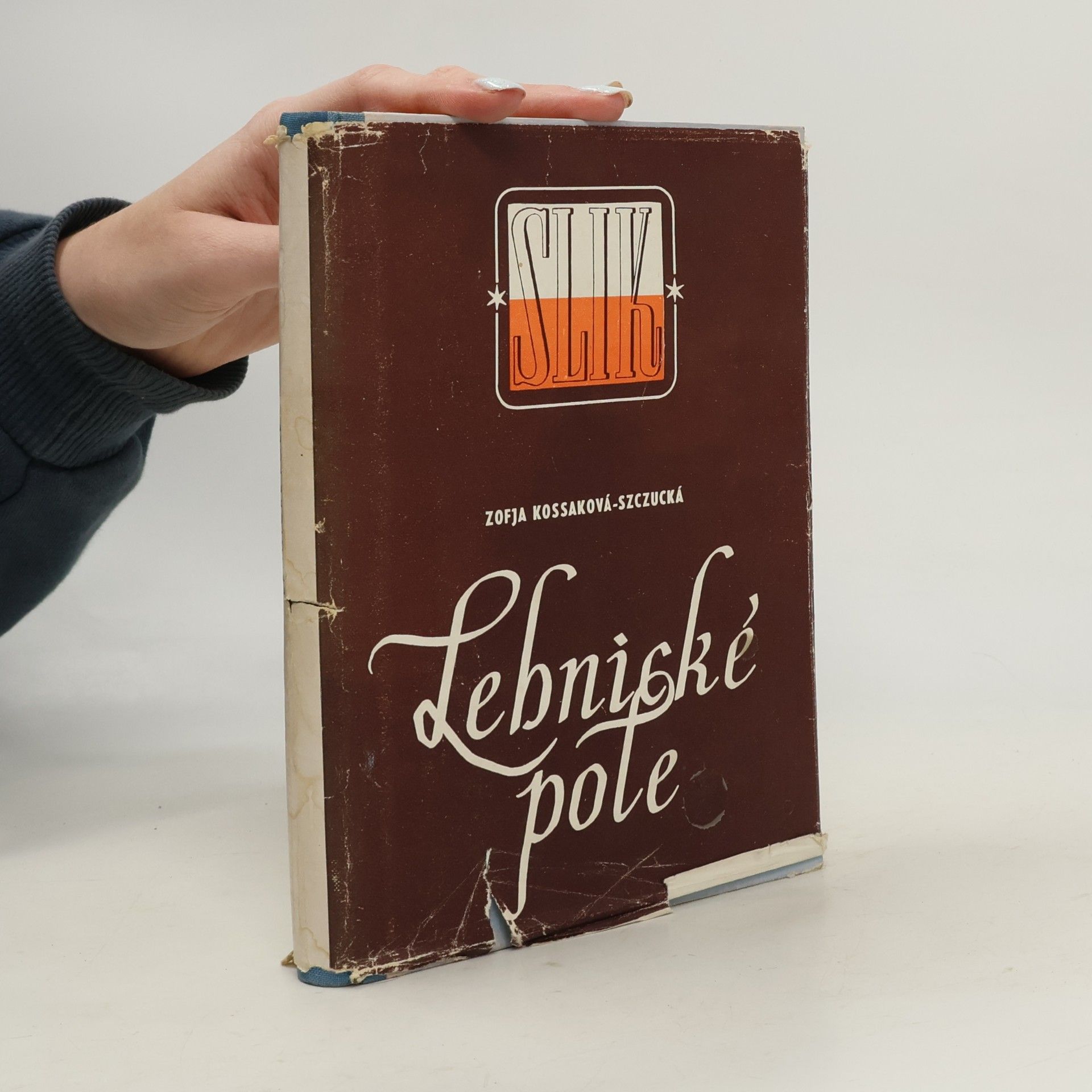 Lebnické pole
