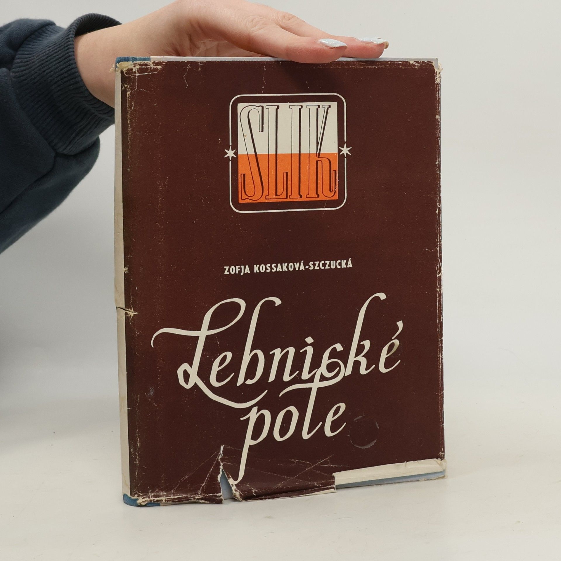 Zofja Kossaková-Szczucká Lebnické pole