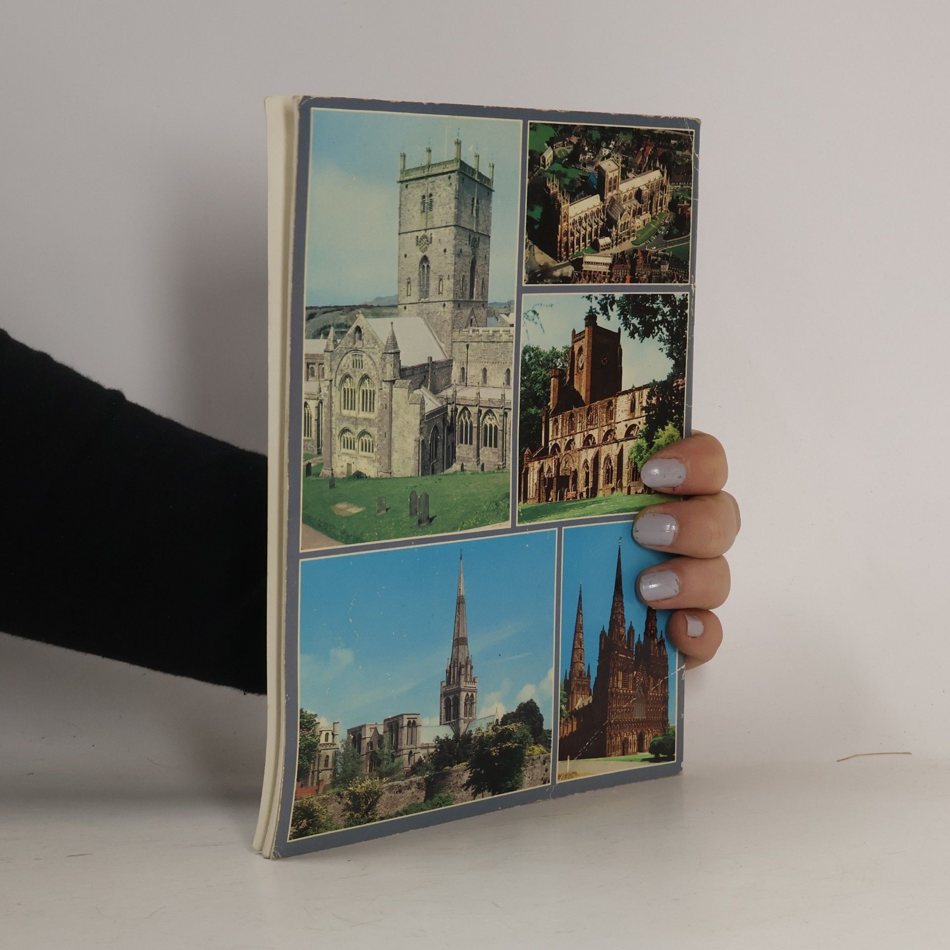 Various authors Our Cathedrals
