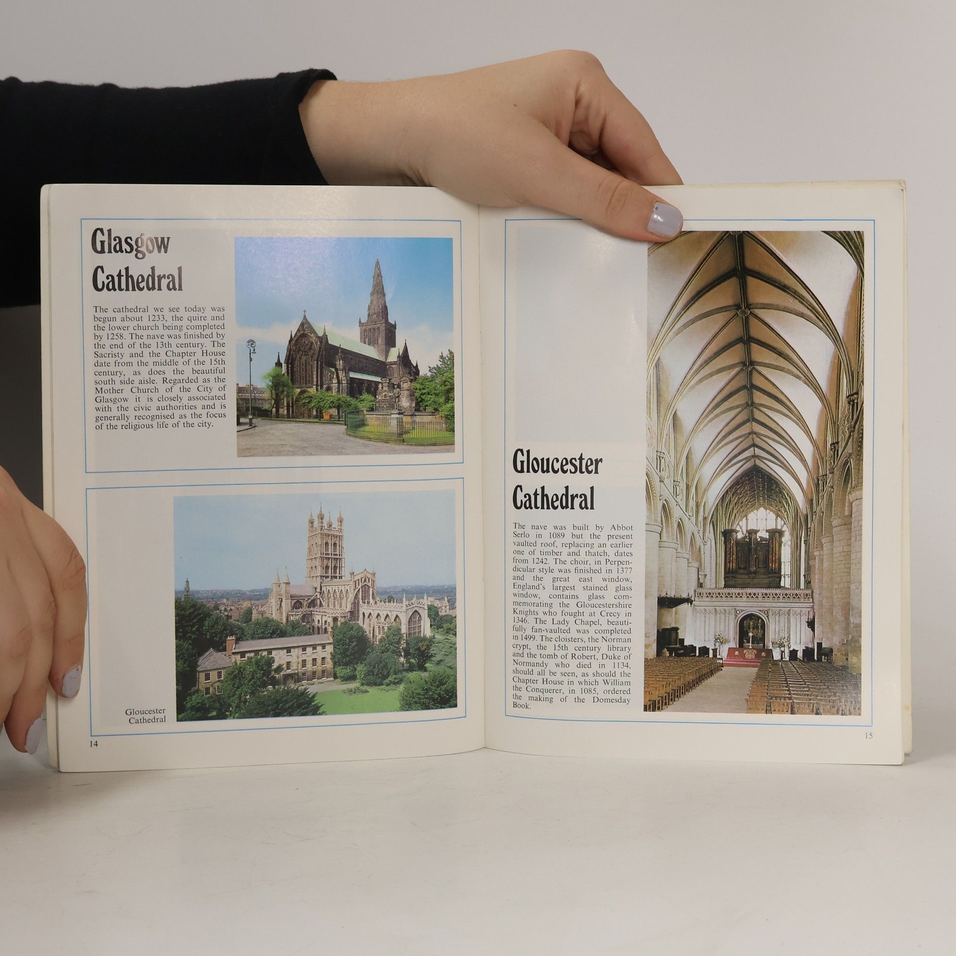 Various authors Our Cathedrals