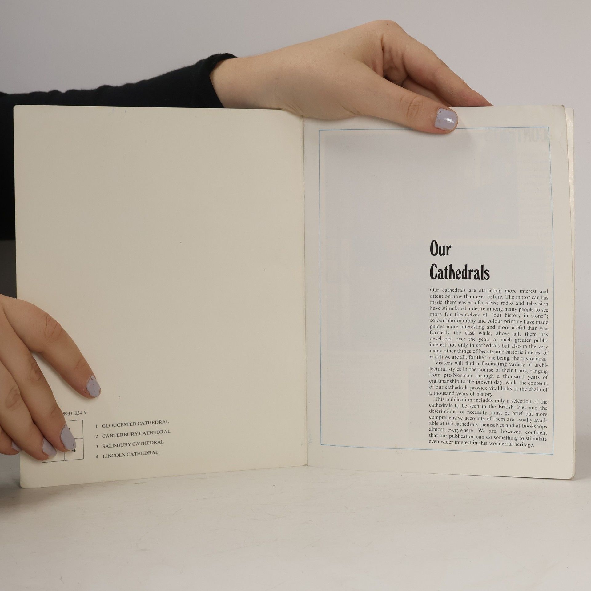 Various authors Our Cathedrals