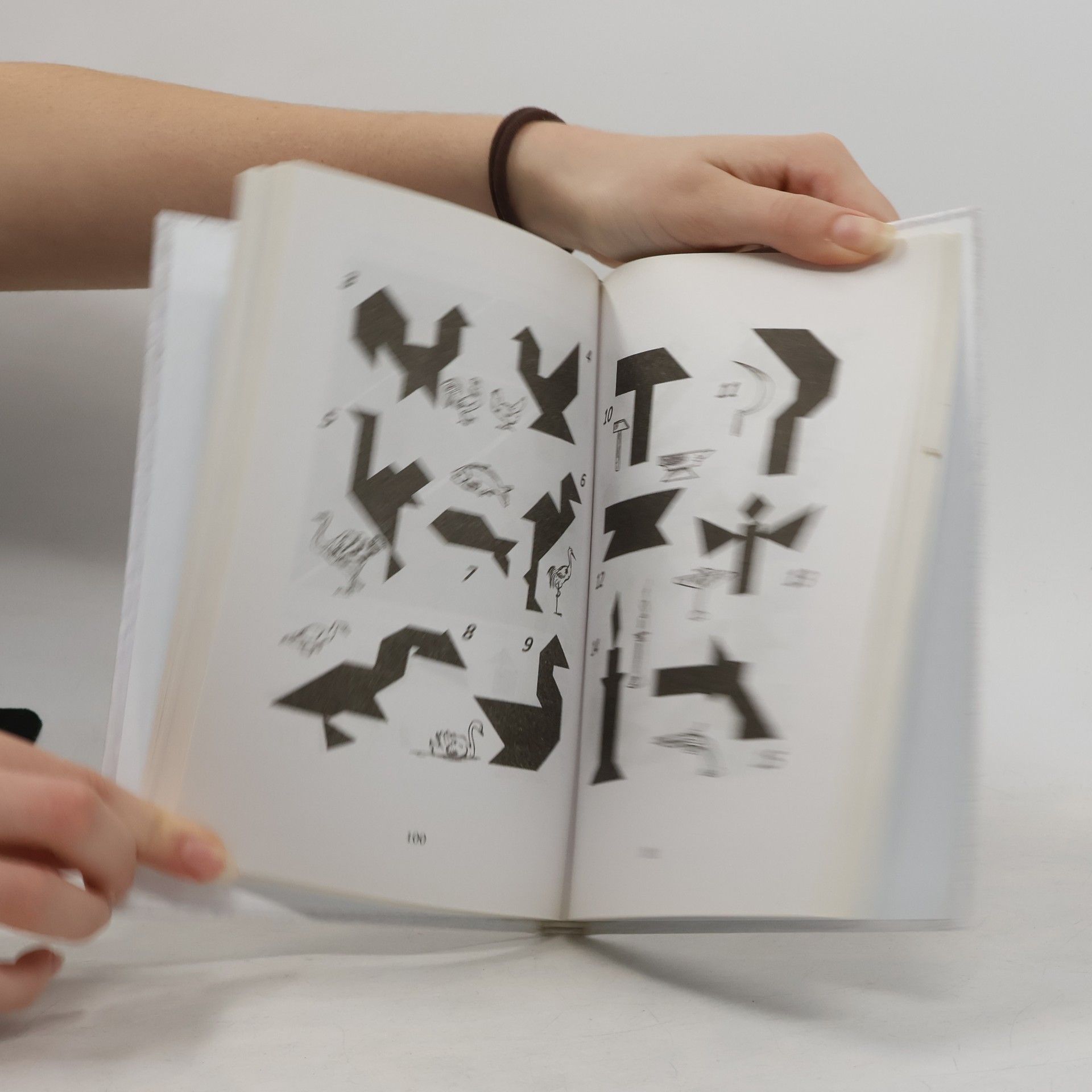 Яков Исидорович Перельман Головоломки. Задачи. Фокусы. Развлечения