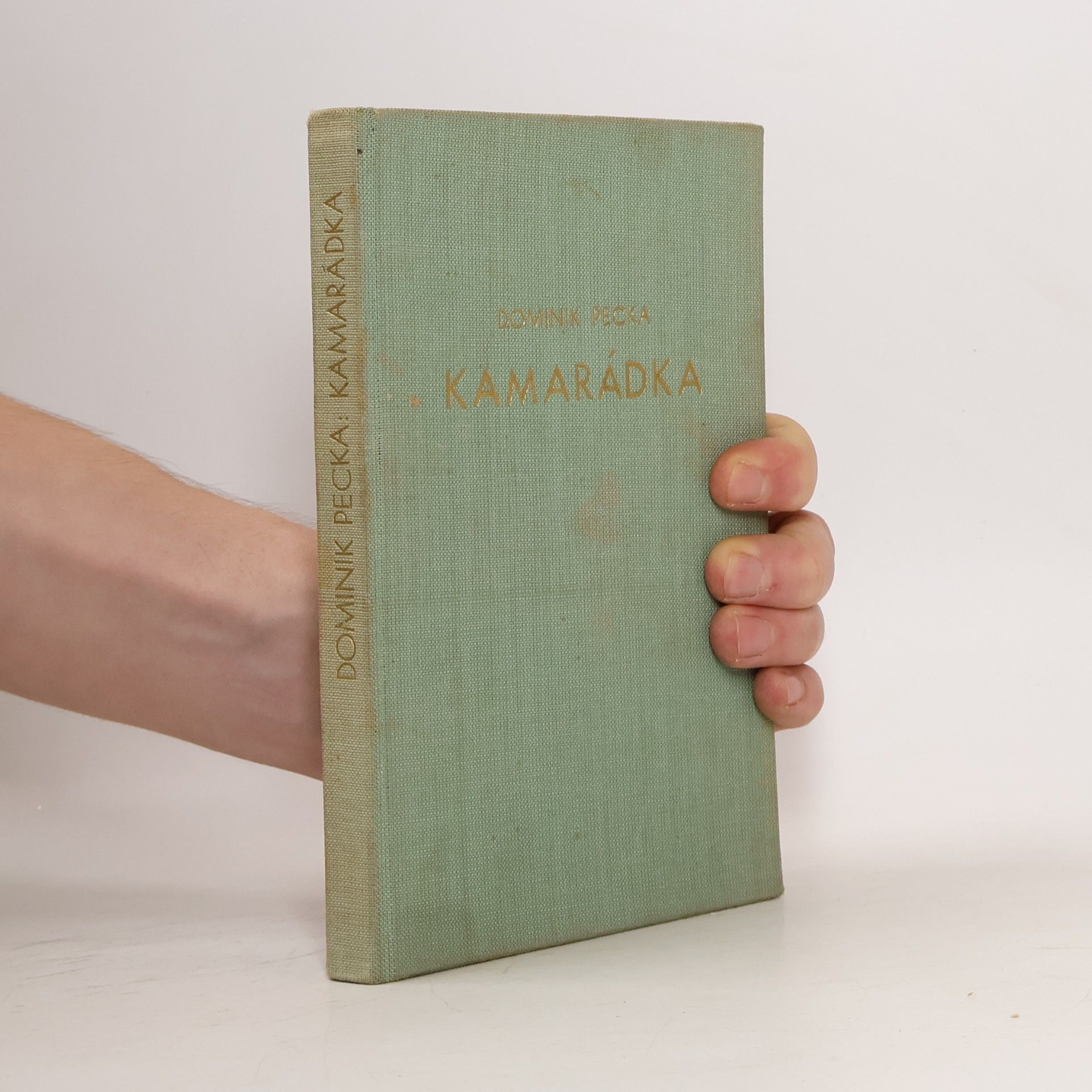 Kamarádka