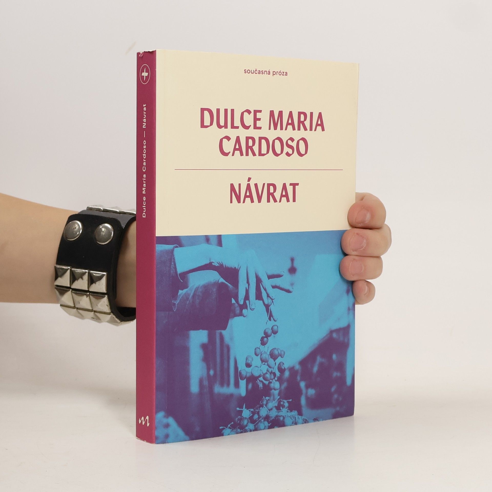 Návrat