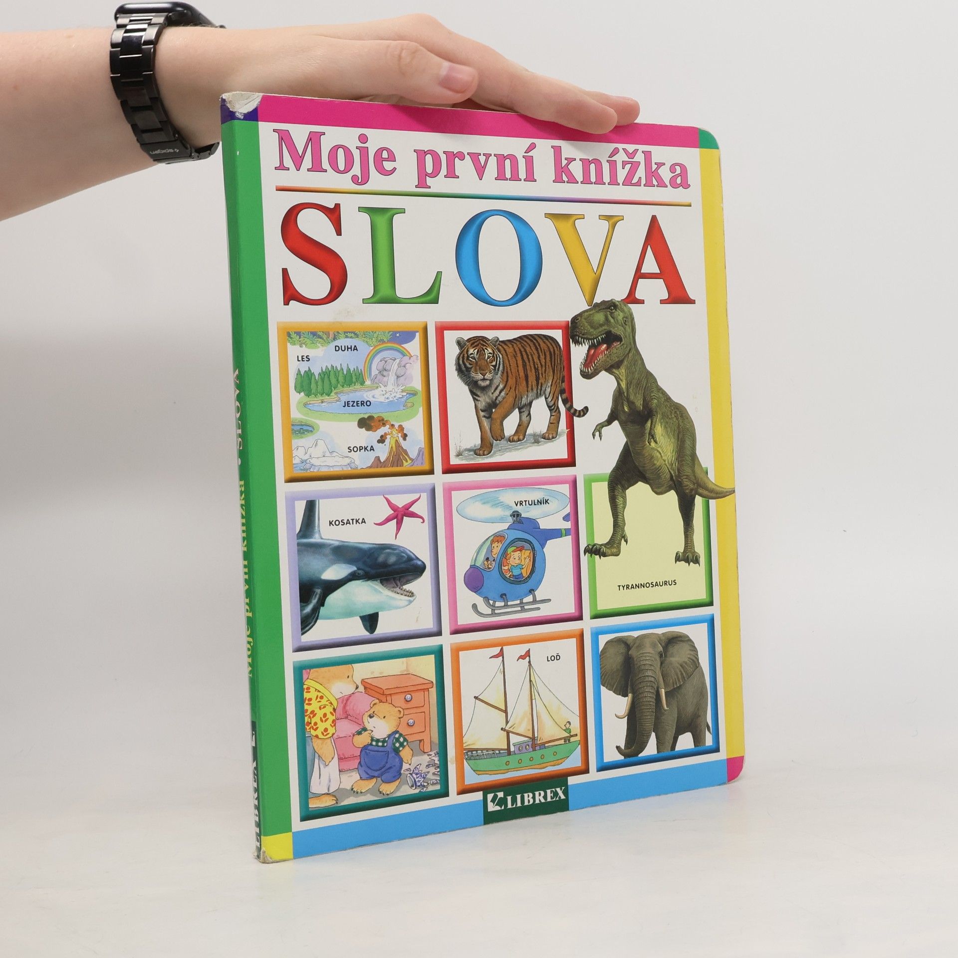 Autorenkollektiv Moje první knížka: První slova