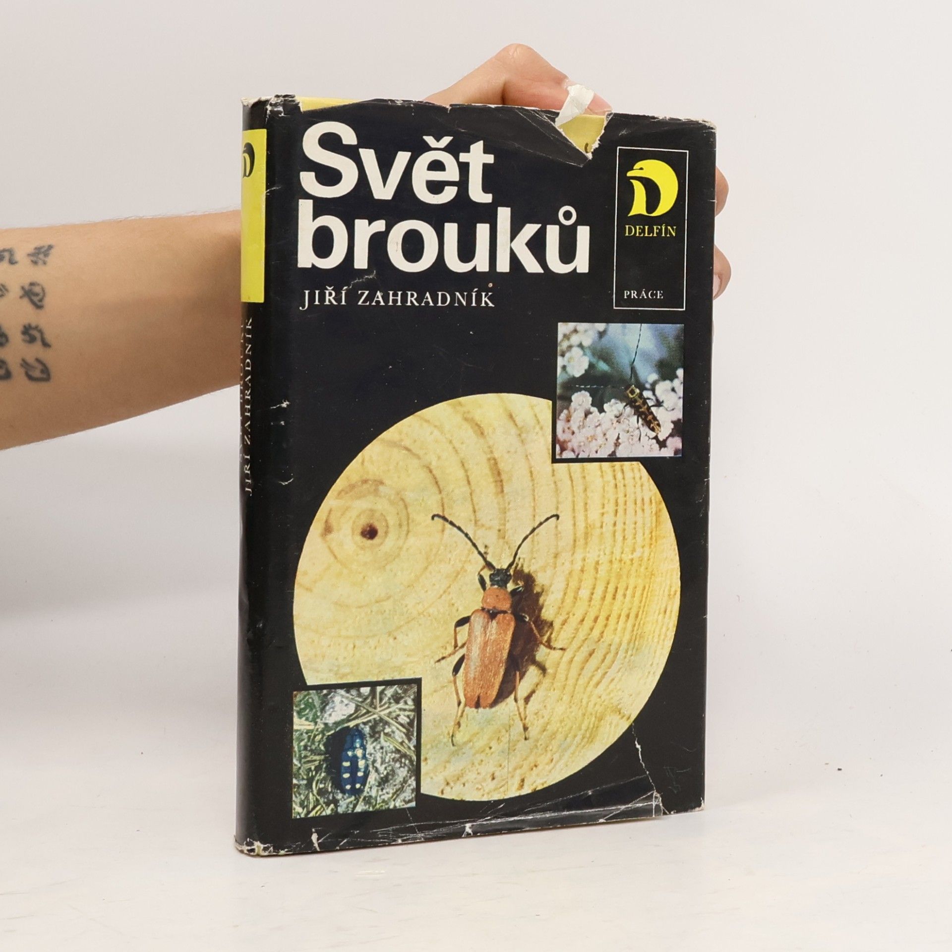 Svět brouků