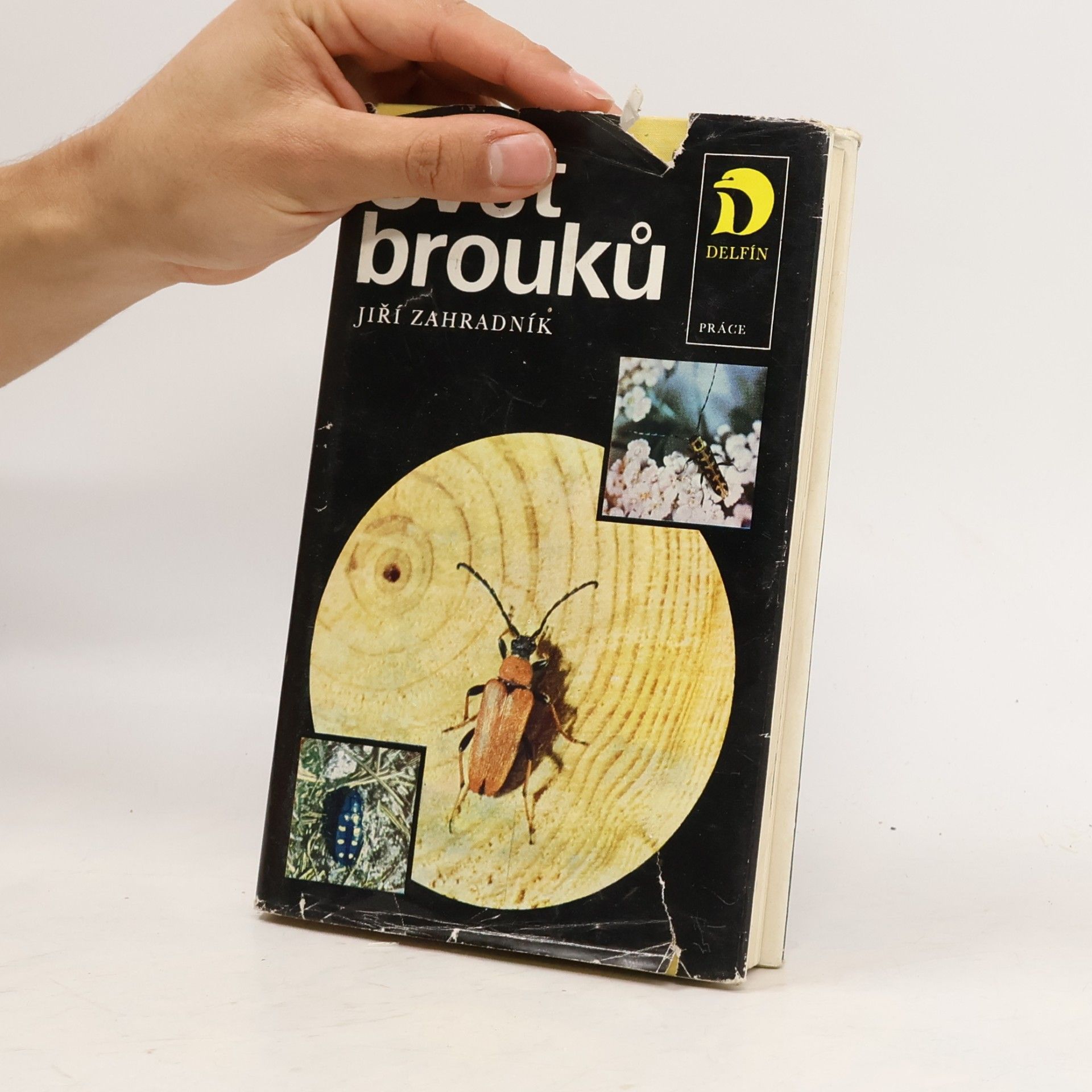 Jiří Zahradník Svět brouků