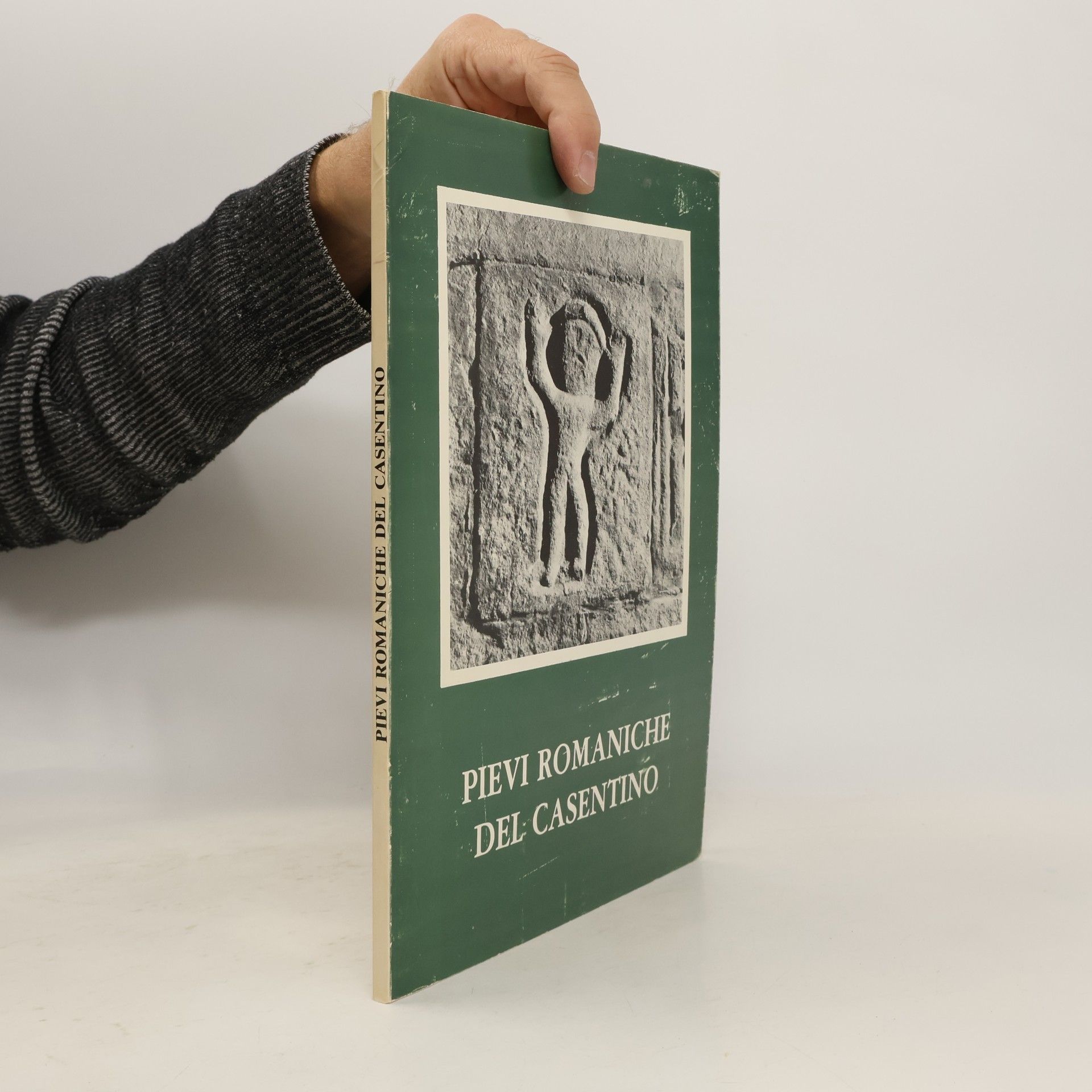 Autorenkollektiv Pievi romaniche del Casentino
