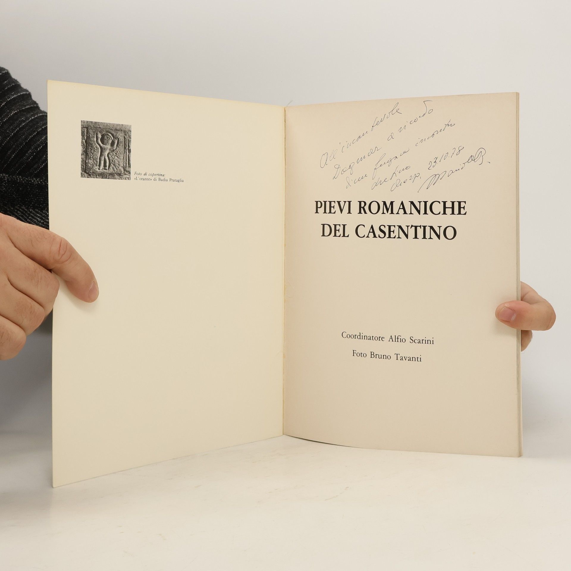 Autorenkollektiv Pievi romaniche del Casentino